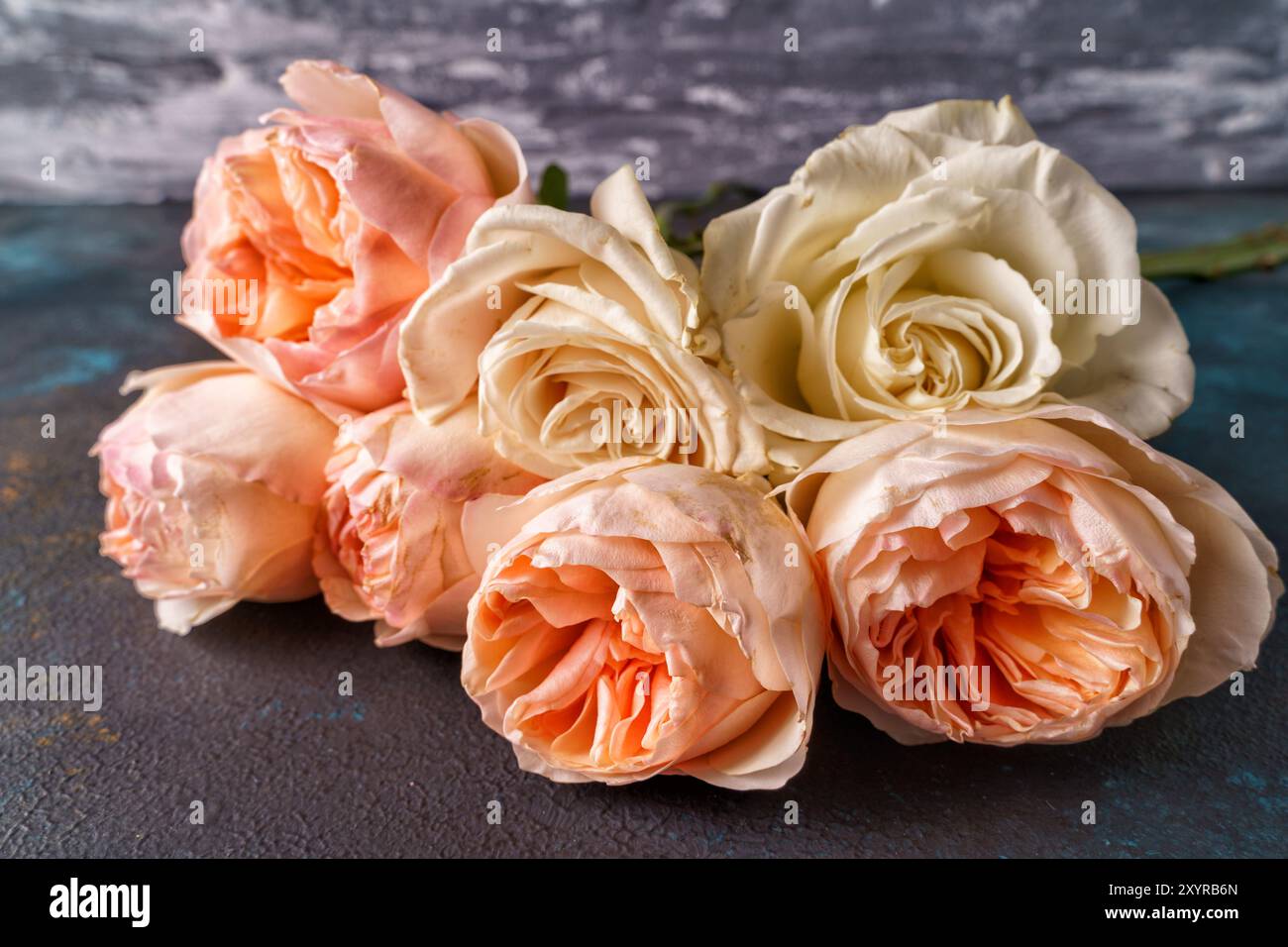 Bouquet di rose rosa e gialle da vicino Foto Stock