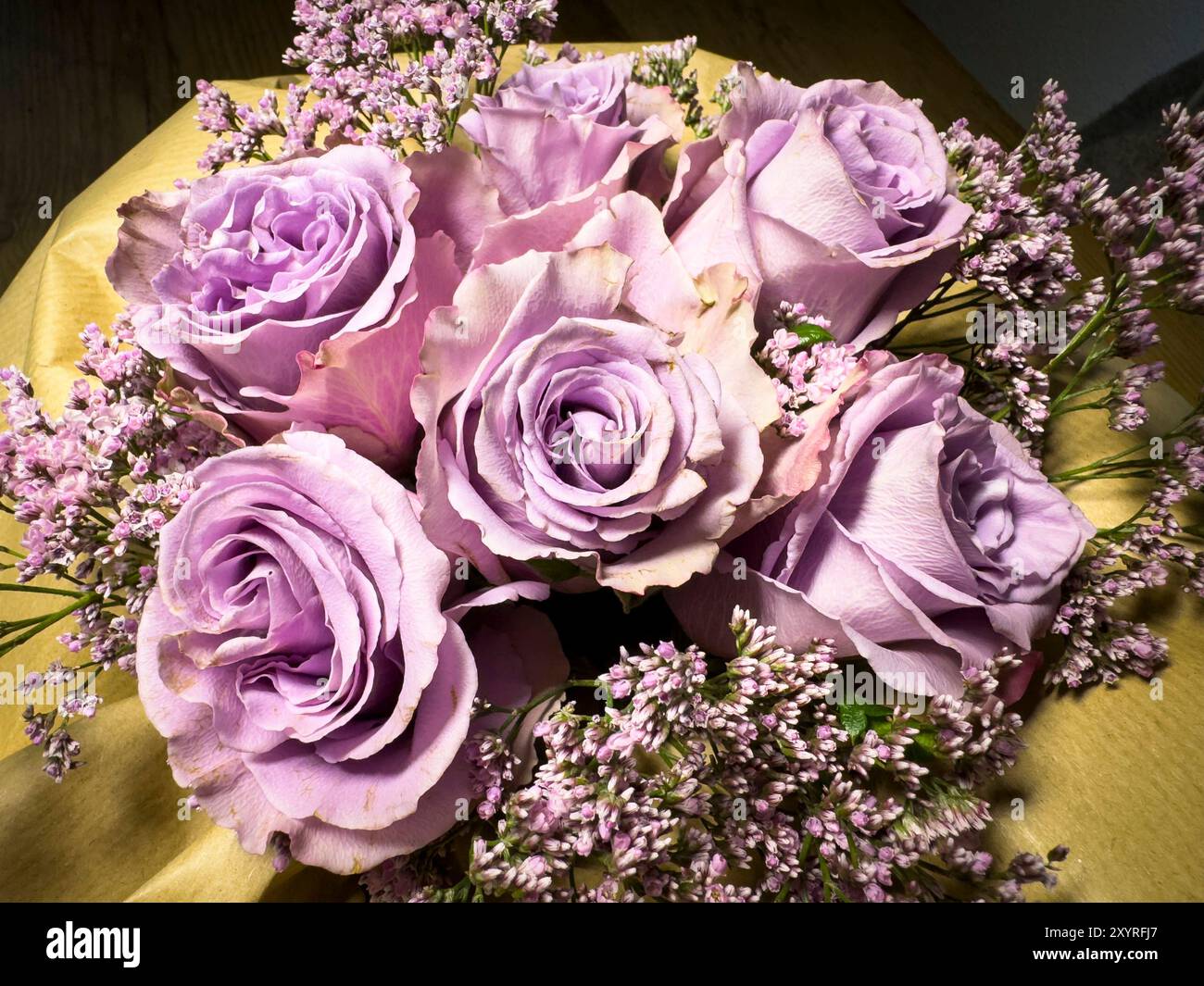 Un giardino di rose sul giu 22, 2024 a Marktoberdorf, Germania. Foto Stock
