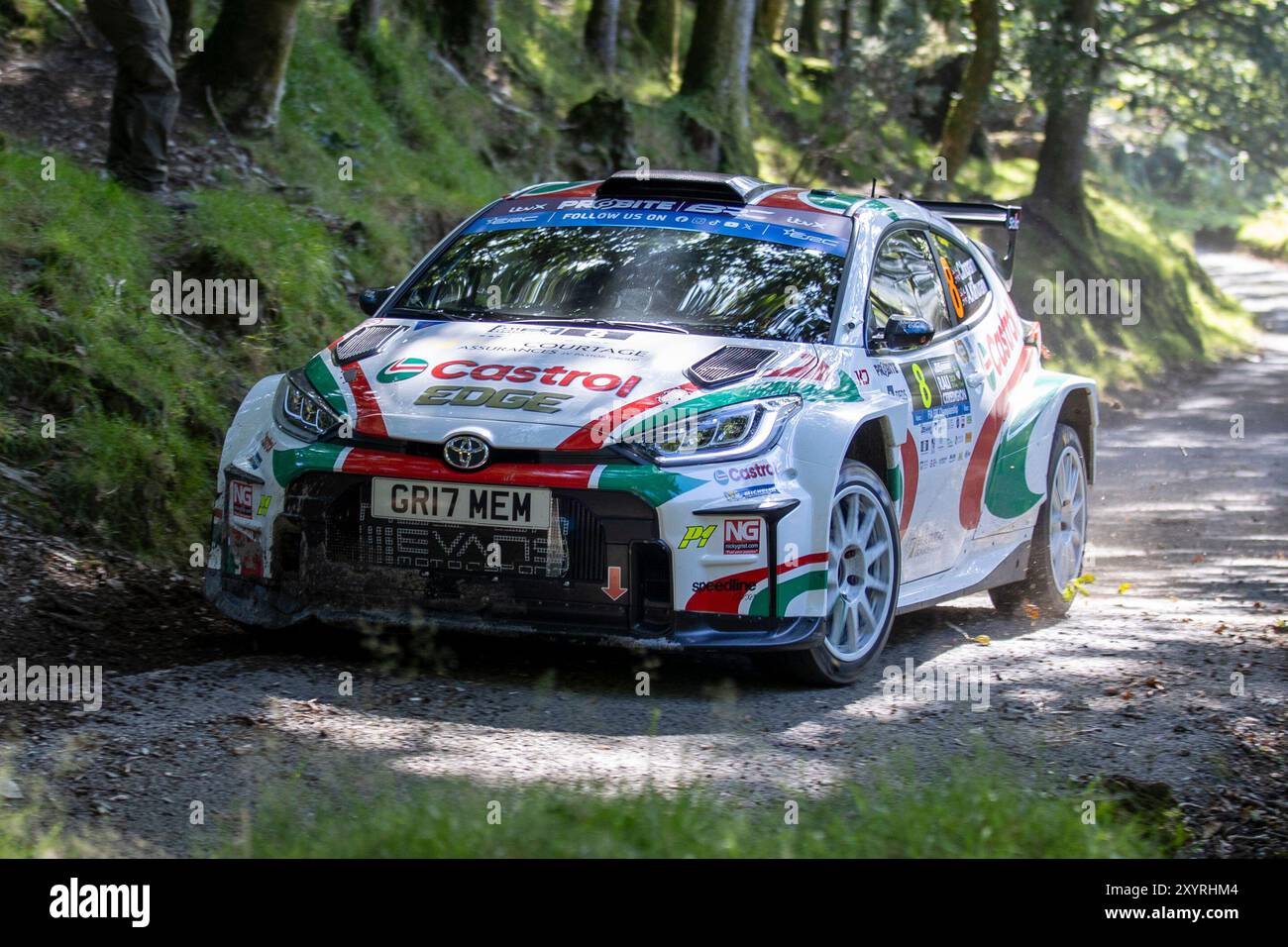 Aberystwyth, Dyfed, Regno Unito. 30 agosto 2024. 2024 FIA European Rally Championship Day 1; il pilota Christopher Ingram e il co-pilota Alex Kihurani nella loro Toyota GR Yaris durante il rally shakedown Credit: Action Plus Sports/Alamy Live News Foto Stock