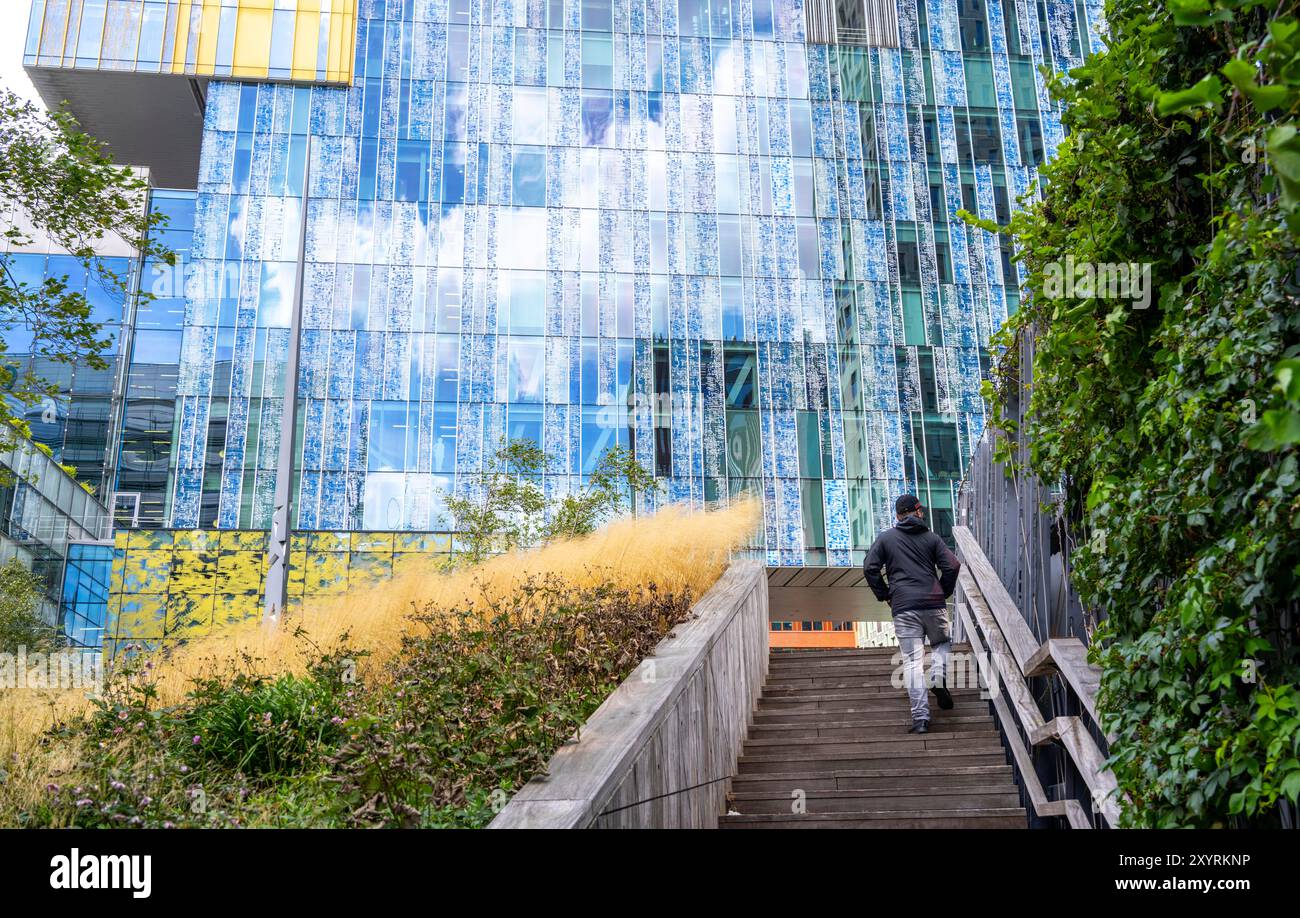Spazi verdi intorno agli edifici, qui a Hogeschool Inholland Rotterdam, piantare letti nei passaggi, pareti e tetti verdi, Rotterdam, Paesi Bassi Foto Stock