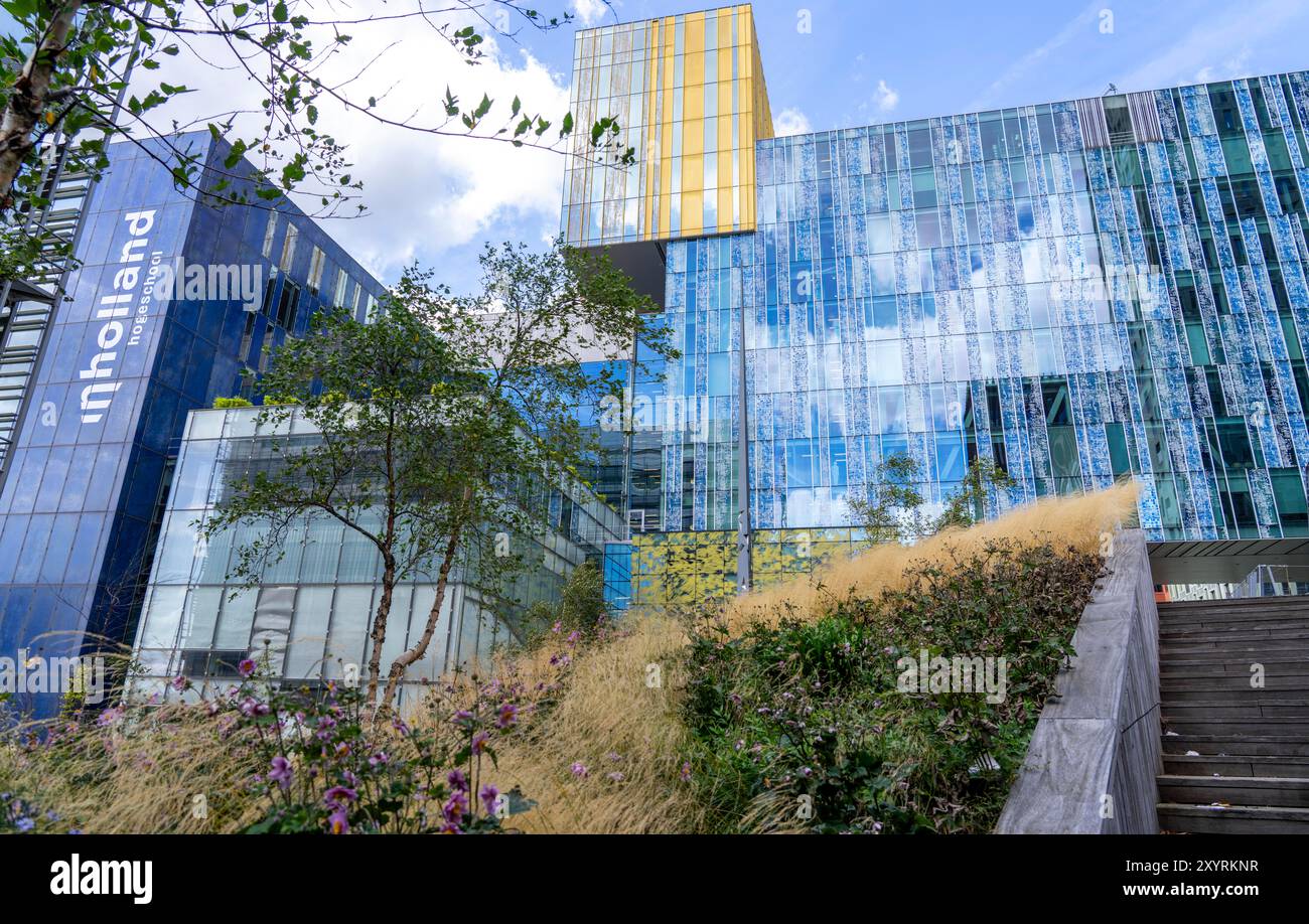 Spazi verdi intorno agli edifici, qui a Hogeschool Inholland Rotterdam, piantare letti nei passaggi, pareti e tetti verdi, Rotterdam, Paesi Bassi Foto Stock