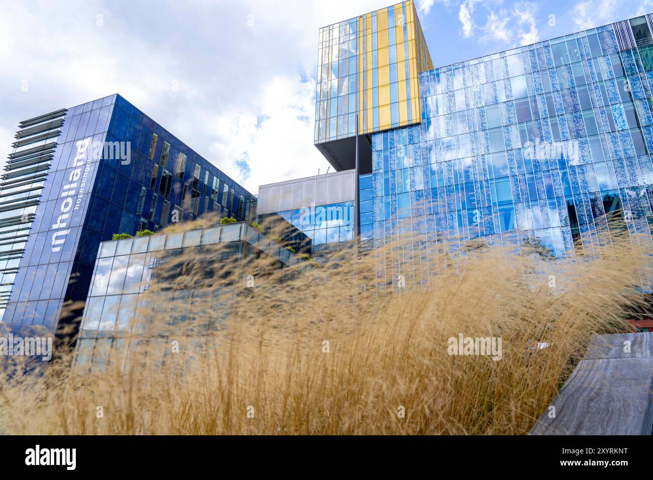 Spazi verdi intorno agli edifici, qui a Hogeschool Inholland Rotterdam, piantare letti nei passaggi, pareti e tetti verdi, Rotterdam, Paesi Bassi Foto Stock