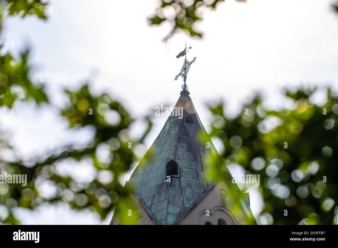 , Deutschland, Rheinland-Pfalz, Speyer, Dom in Speyer, 30.08.2024, Der Speyerer Dom War heute voraussichtlich das letzte mal ohne Gerüst zu sehen. Poll Foto Stock