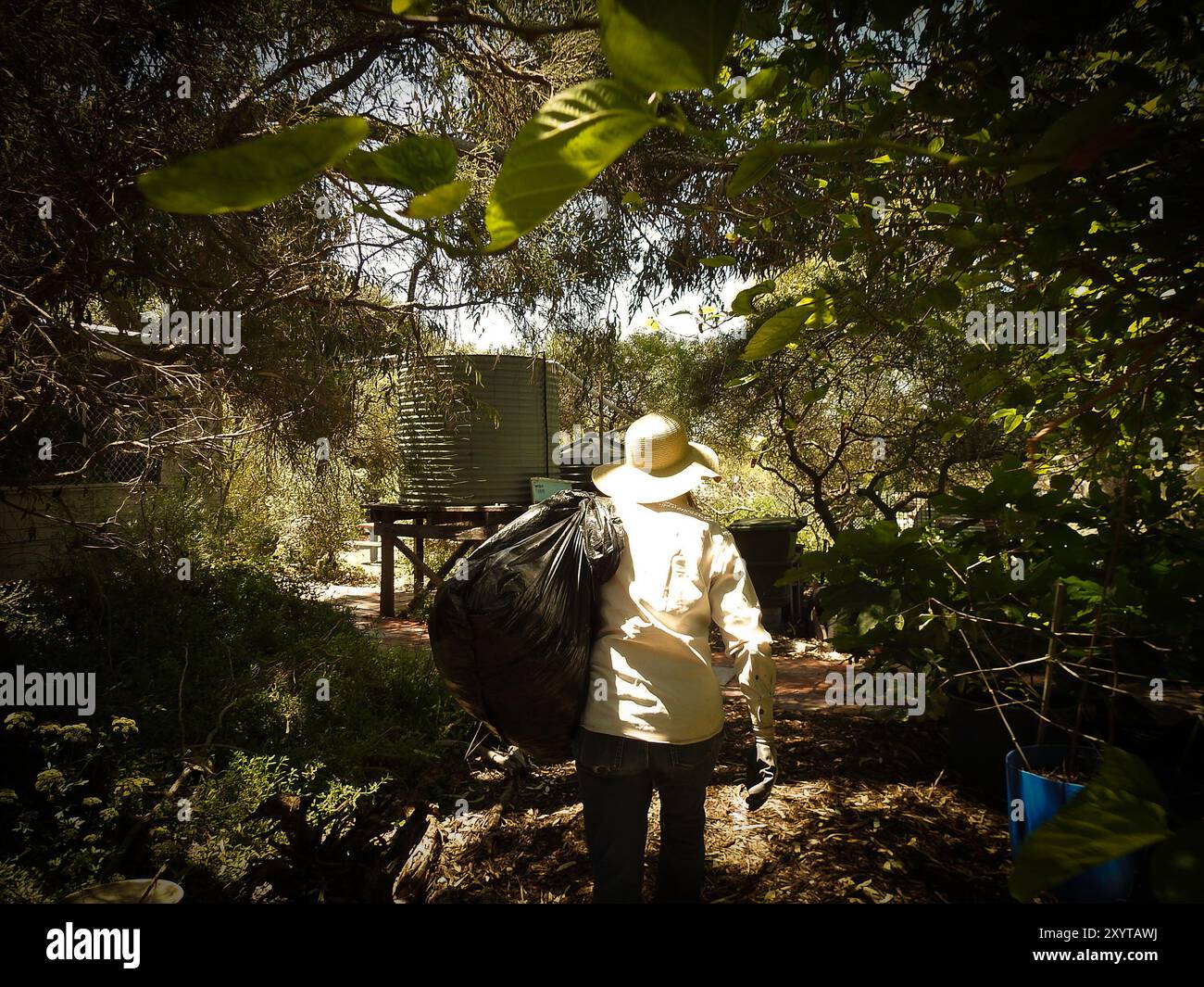 Agire per un pianeta più pulito, una borsa alla volta. Trasformando i rifiuti alimentari e i rifiuti in compost prezioso, questo giardiniere mostra una natura premurosa Foto Stock