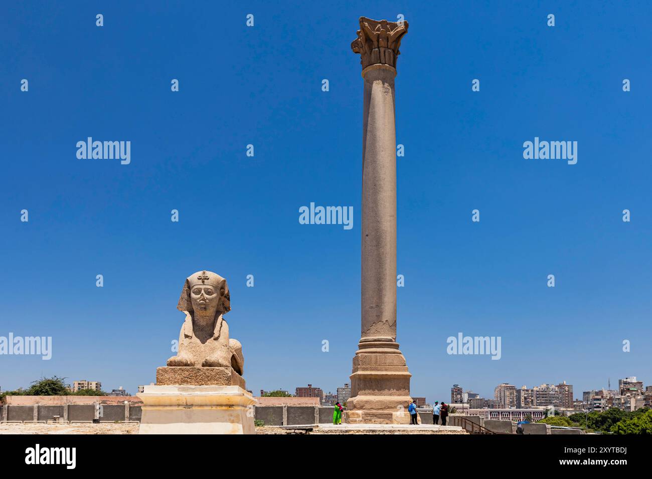 Serapeo di Alessandria, antico pilastro di Pompeo e statua in pietra della sfinge, nel centro di Alessandria, Egitto, Nord Africa, Africa Foto Stock