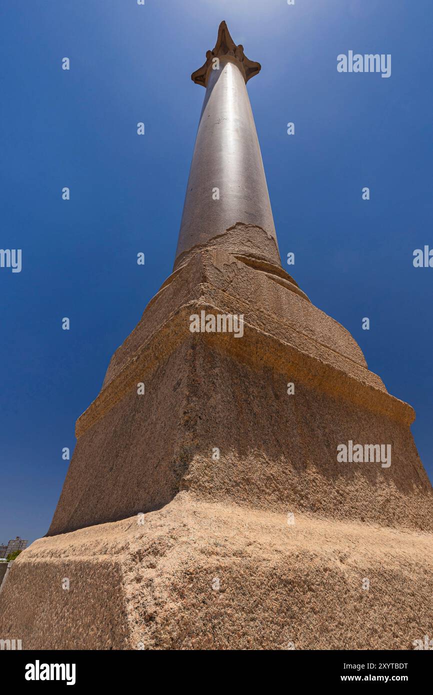 Serapeo di Alessandria, antico pilastro di Pompeo, nel centro di Alessandria, Egitto, nord Africa, Africa Foto Stock