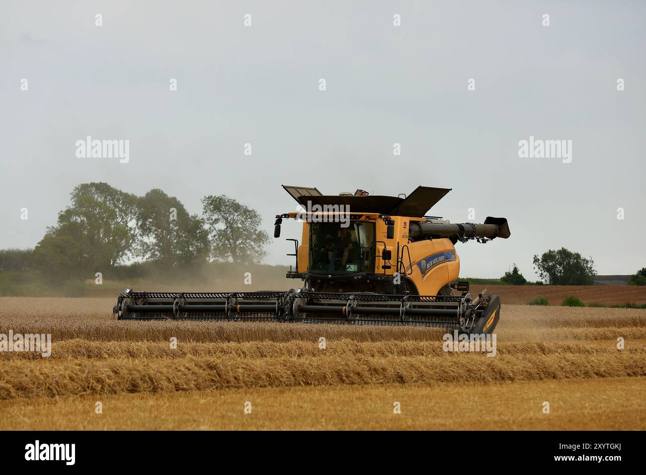 Stroud, Regno Unito, agosto 2024. Ora del raccolto estivo per gli agricoltori del Gloucestershire. Mietitrebbia New Holland pronta per un'altra giornata impegnativa nei campi. Foto Stock