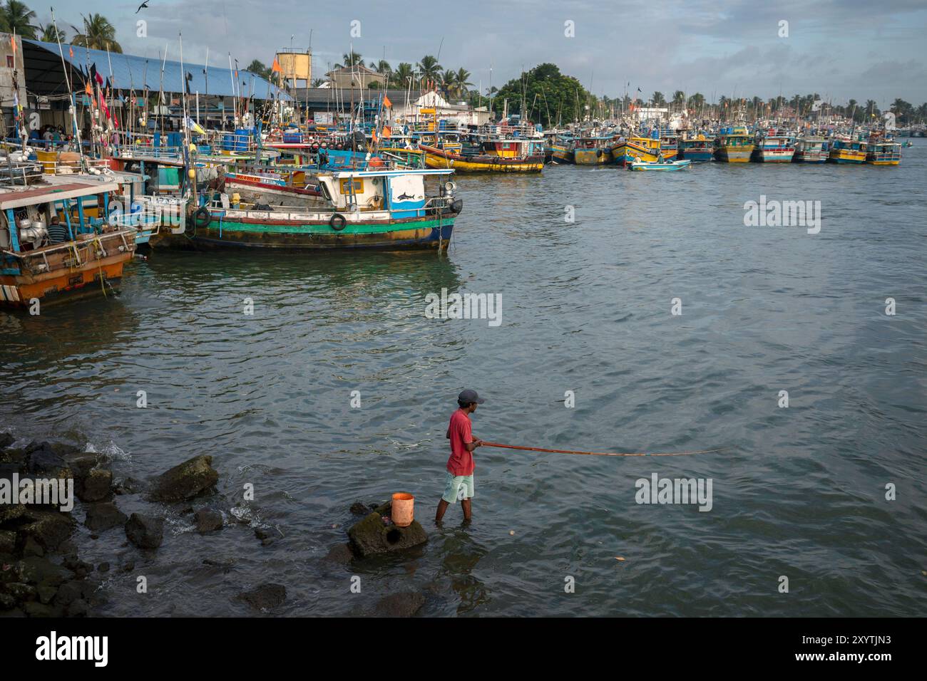 Un uomo che pesca nella laguna adiacente al mercato del pesce di Negombo sulla costa occidentale dello Sri Lanka la mattina presto. Foto Stock