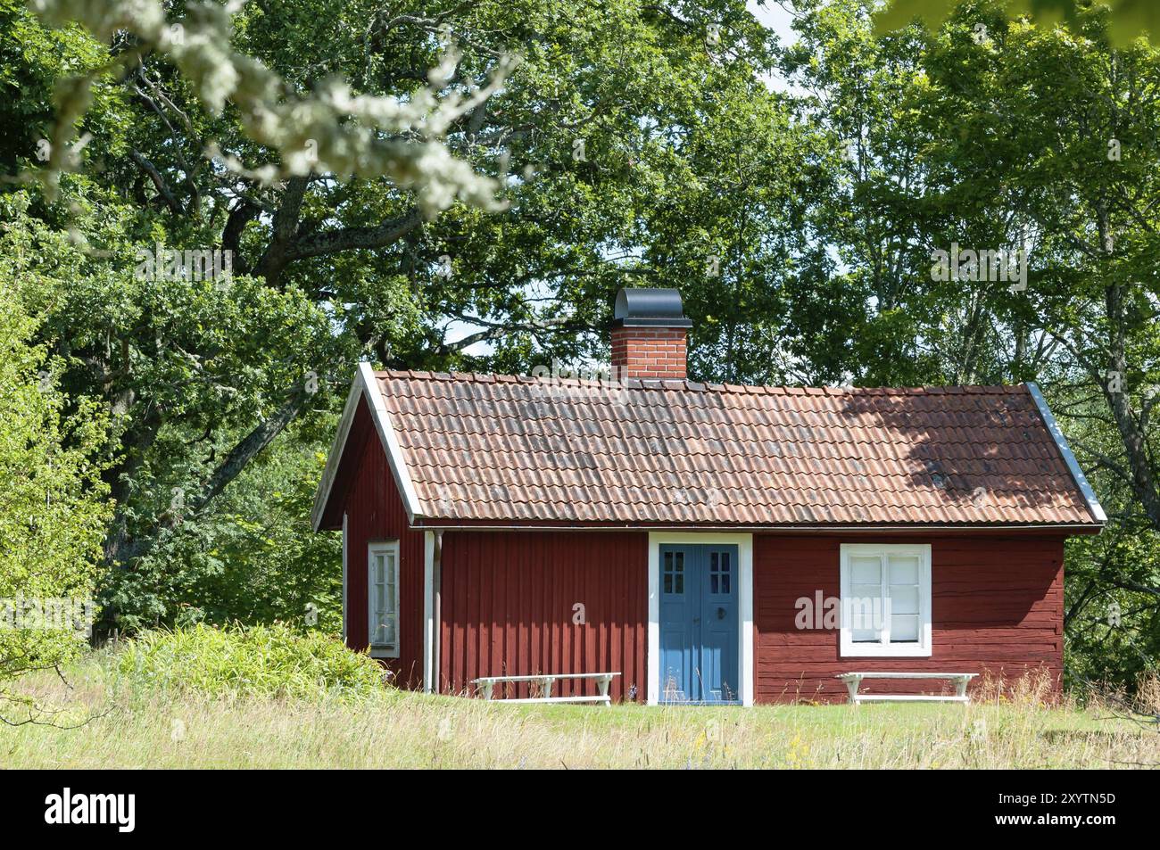 Caratteristico cottage svedese rosso tradizionale annidato in un'intimità appartata tra alti alberi verdi. Caratteristico cottage svedese rosso Foto Stock