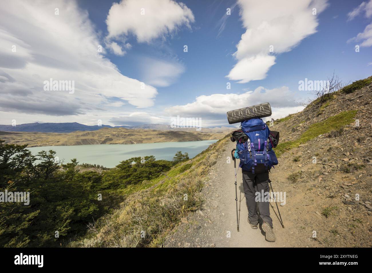 Trekking W, Parque nacional Torres del Paine, sistema Nacional de areas Silvestres Protegidas del Estado de Chile. Patagonia, Repubblica del Cile, Ameri Foto Stock