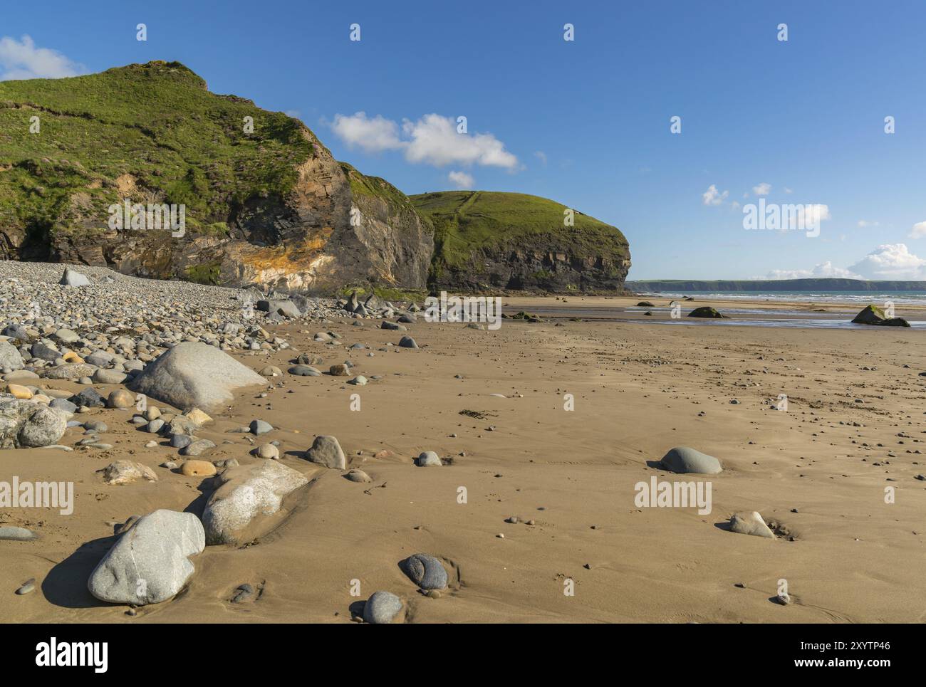 Spiaggia a Druidston Haven, vicino a Haverfordwest, Pembrokeshire, Dyfed, Wales, Regno Unito Foto Stock