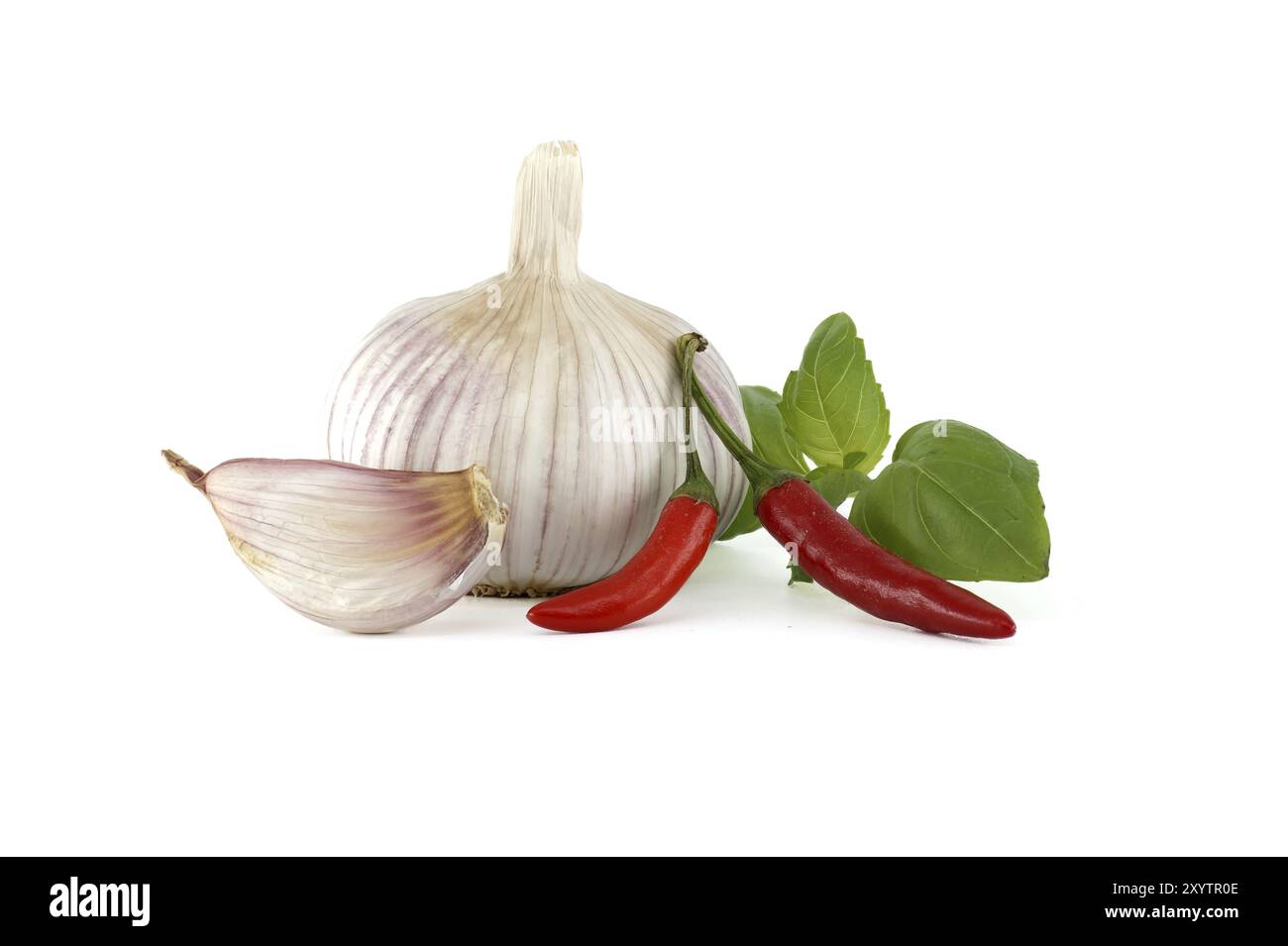 Bulbo d'aglio intero con spicchi d'aglio vicino a due peperoncini rossi e un rametto di foglie di basilico isolato su sfondo bianco Foto Stock