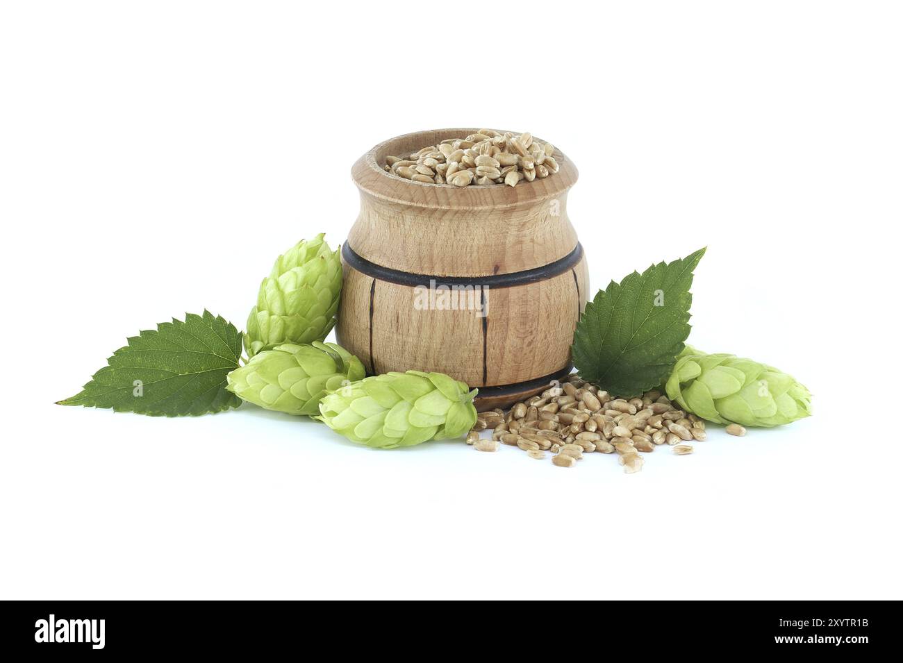 Ambiente rustico e casalingo con un secchio di legno pieno di cereali e luppolo, ingredienti per la produzione di birra Foto Stock