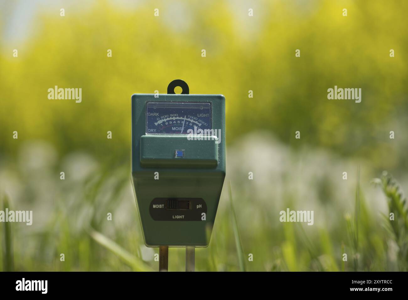 Misuratore di umidità del suolo, intensità luminosa e PH in primo piano, concetto di tecnologia agricola Foto Stock
