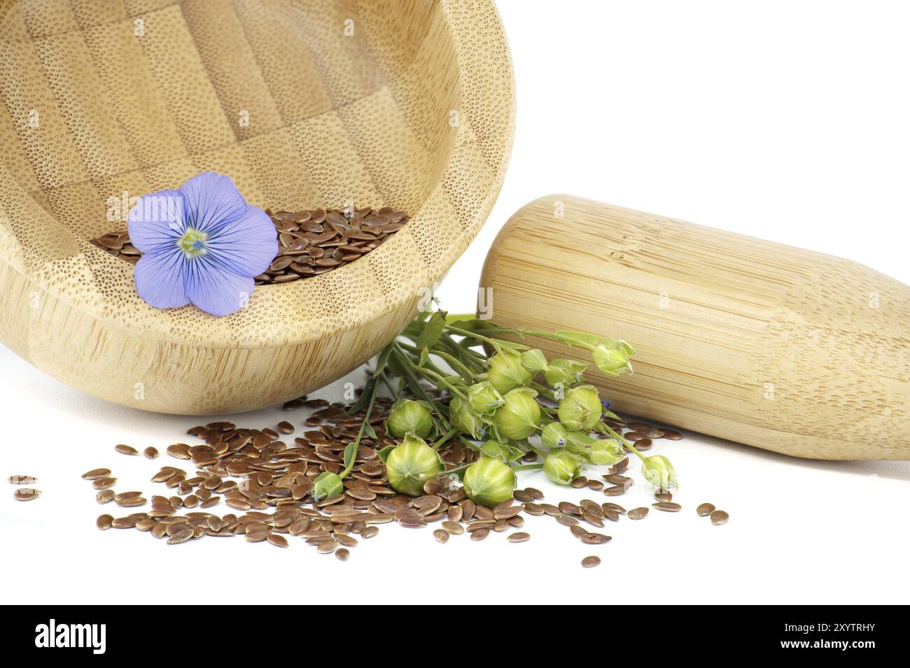 Mortaio di legno pieno di piccoli semi di lino marrone e fiori di pianta di lino blu accanto a capsule rotonde di frutta di lino isolate su fondo bianco Foto Stock