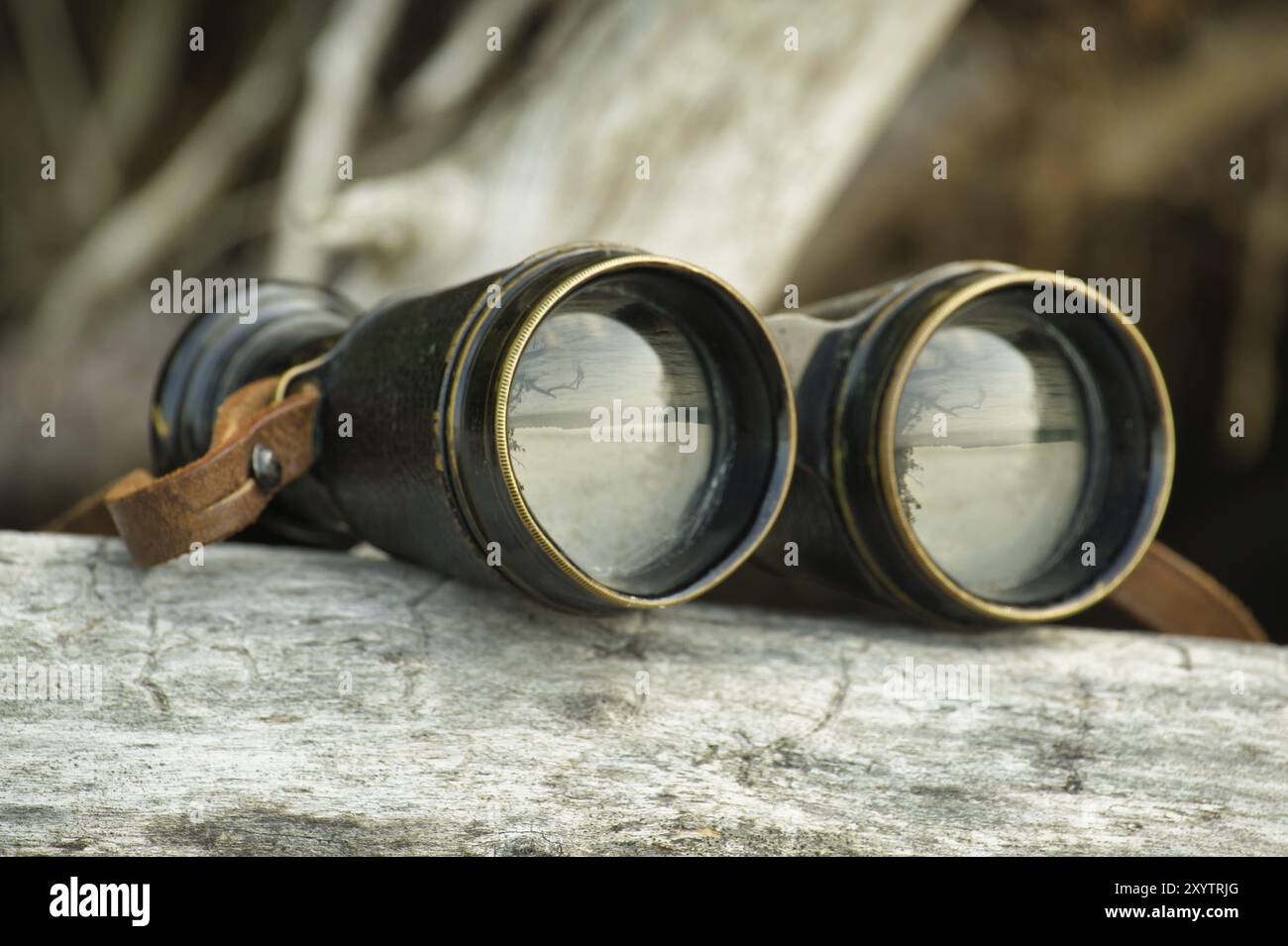 Binocolo nero appoggiato su un tronco in un ambiente all'aperto, alberi e riflessi del cielo dalle lenti, attività ricreative come campeggio o h Foto Stock