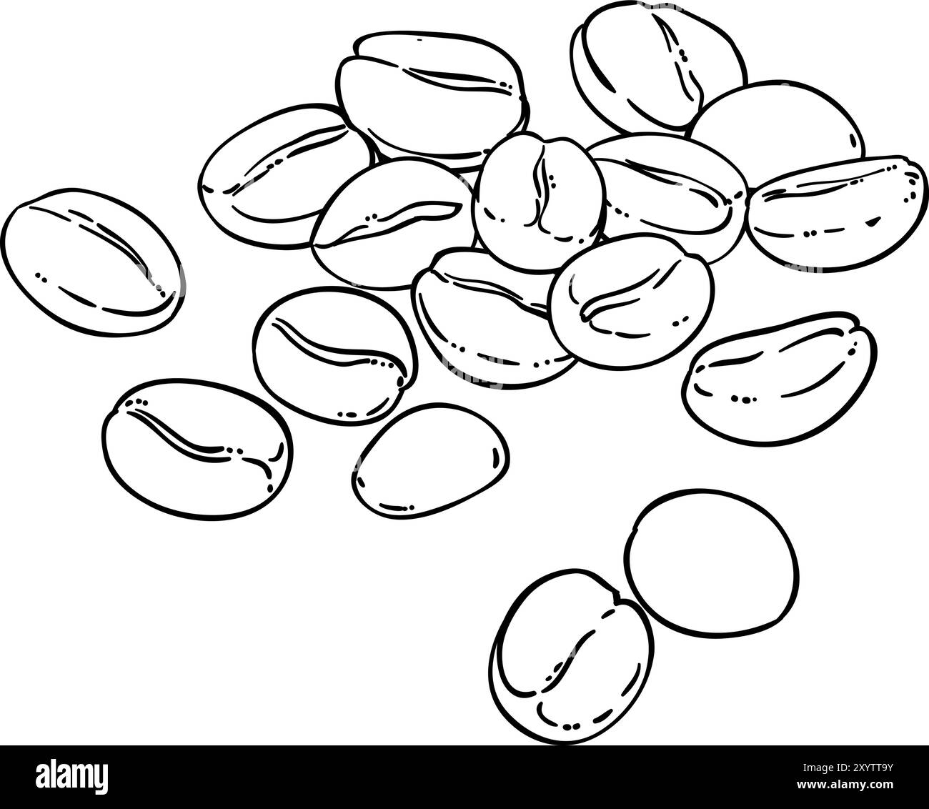 Illustrazione del profilo isolato dei semi di caffè. Illustrazione Vettoriale