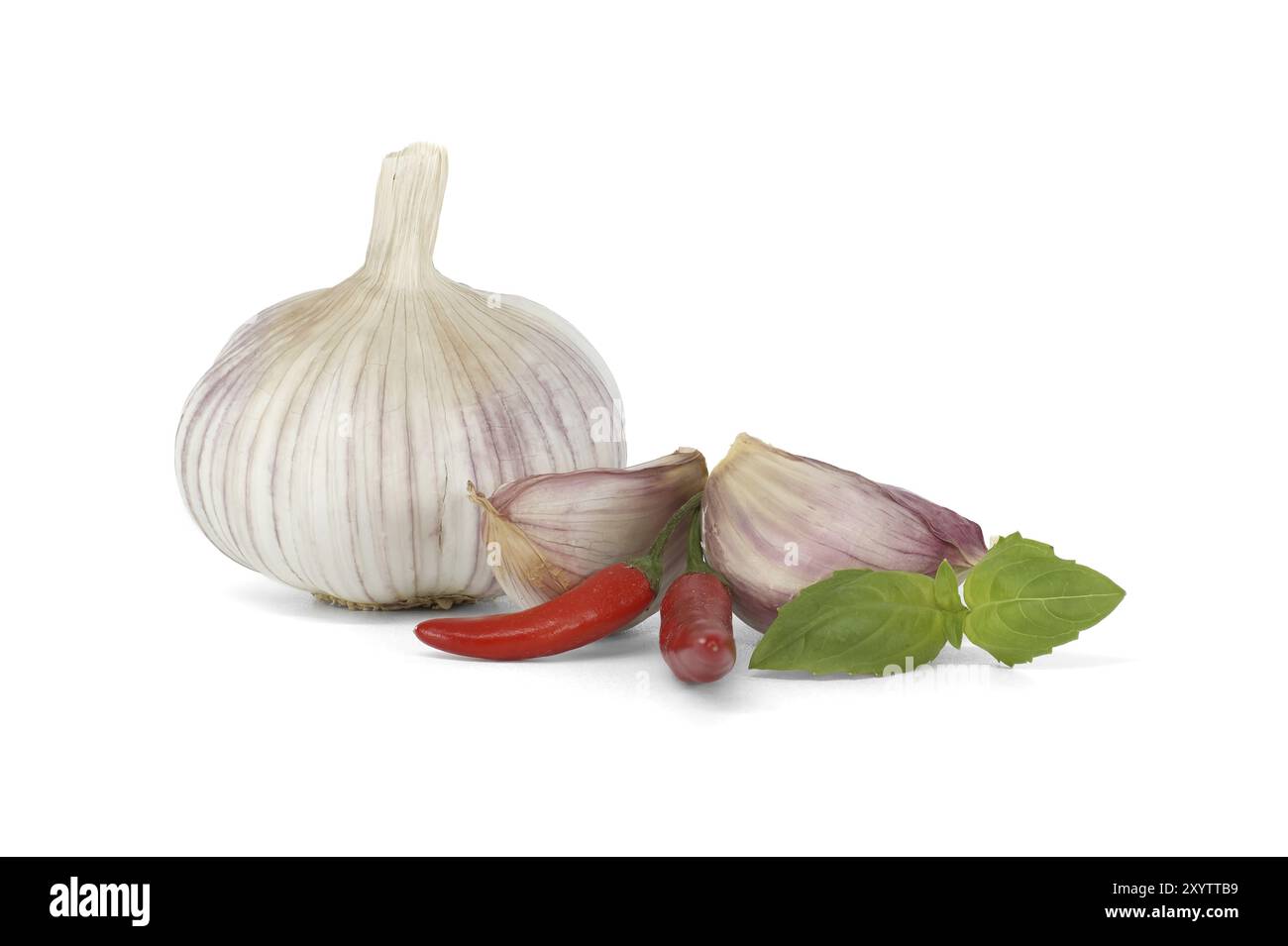 Bulbo d'aglio intero con spicchi d'aglio vicino a due peperoncini rossi e un rametto di foglie di basilico isolato su sfondo bianco Foto Stock