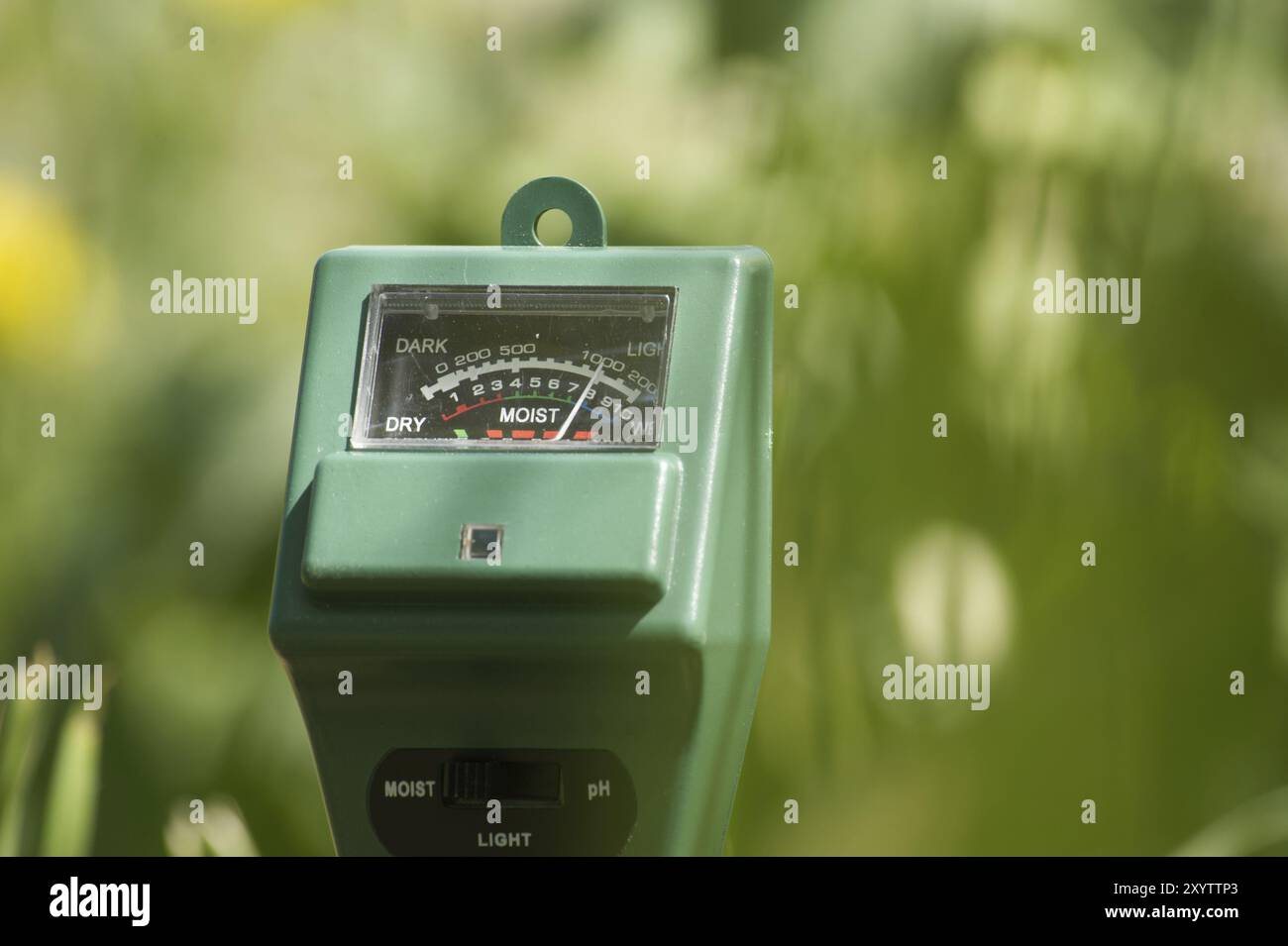 Misuratore di umidità del suolo, intensità luminosa e PH in primo piano, concetto di tecnologia agricola Foto Stock