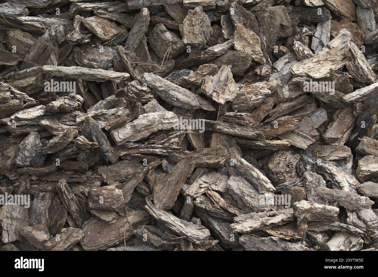 Pacciamatura per pacciamatura o decorazione a distanza ravvicinata Foto Stock