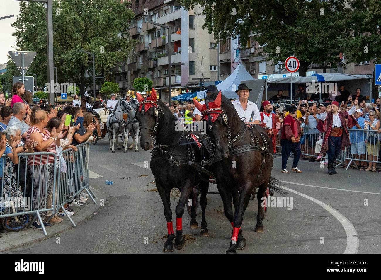 Pozarevac. 30 agosto 2024. I cavalli sfilano alla cerimonia di apertura dei giochi equestri annuali nella città di Pozarevac, Serbia, il 30 agosto 2024. La 61a edizione dei Giochi equestri di Ljubicevo è ufficialmente iniziata venerdì nella città di Pozarevac, annunciando uno degli eventi sportivi-turistici più celebrati della Serbia. Crediti: Nemanja Cabric/Xinhua/Alamy Live News Foto Stock