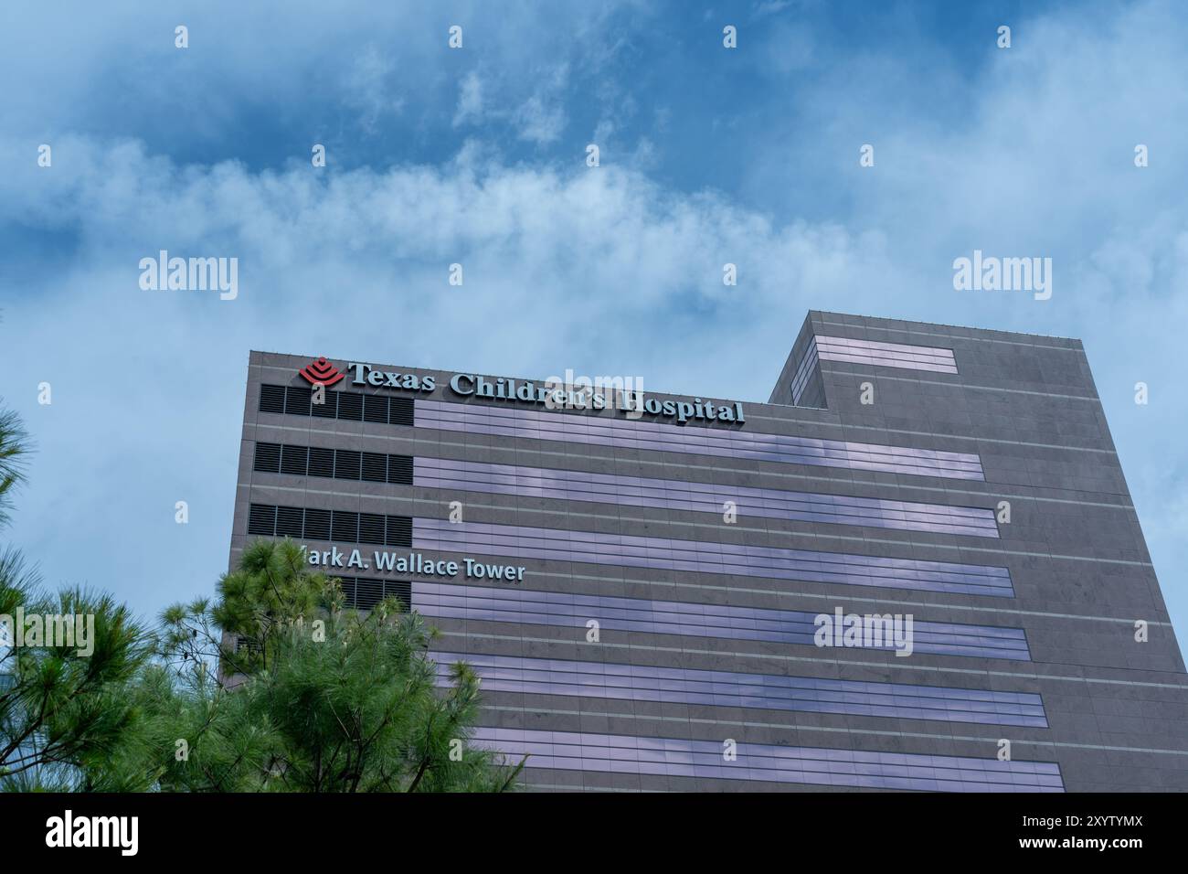 Texas Children's Hospital Mark A. Wallace Tower a Houston, Texas, Stati Uniti. Foto Stock