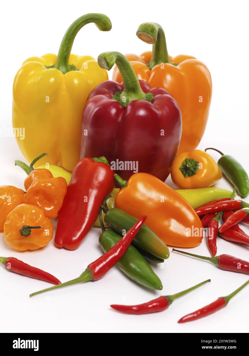 Varietà di peperoni rossi dolci, gialli, arancioni, Jalapeno, Cubanelle, peperoni thailandesi, peperoni Scotch Bonnet, peperoni dolci. Cibo ancora vita isolata Foto Stock