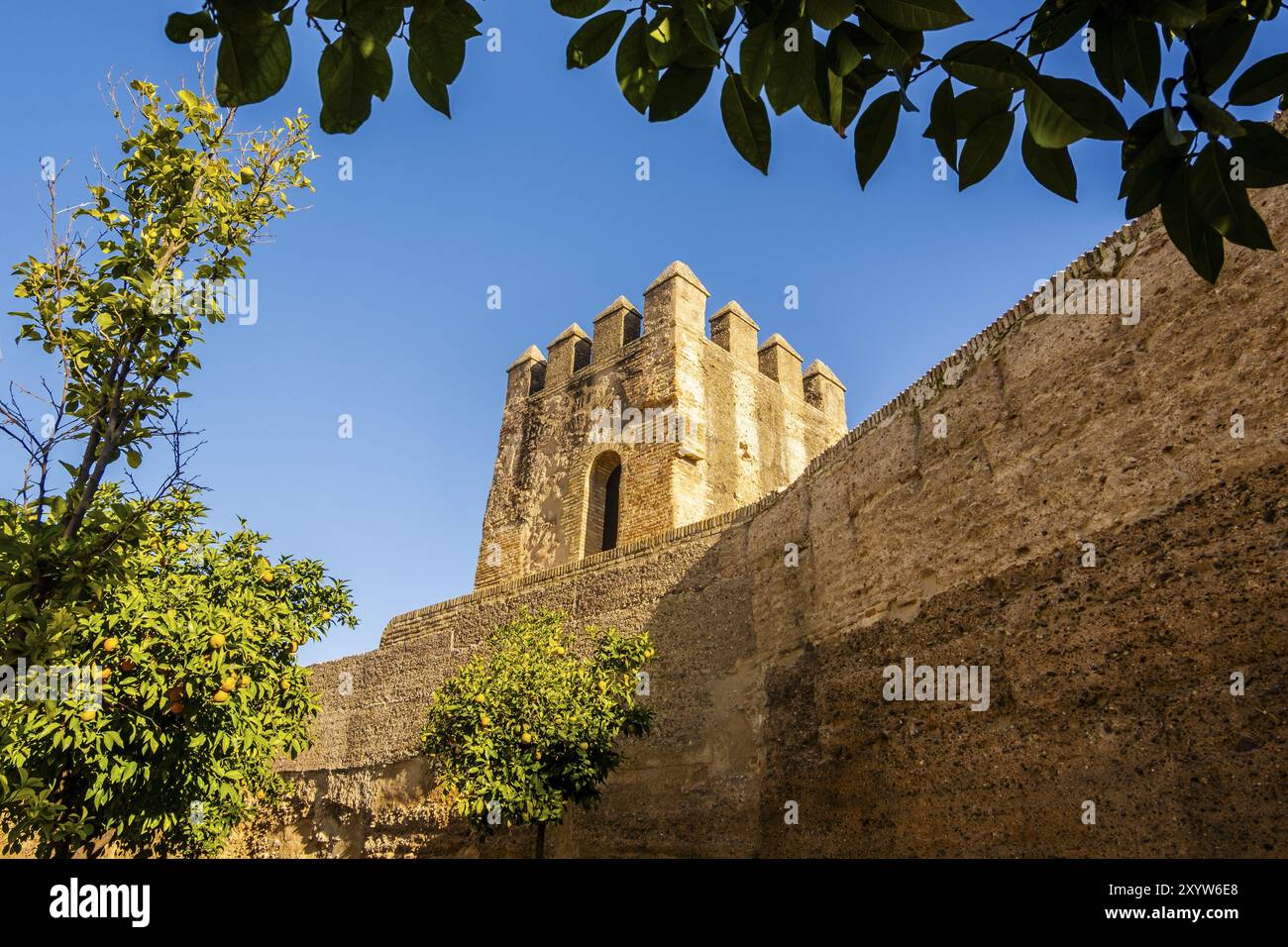 Mura della città vecchia della città storica di Siviglia, Andalusia, Spagna, Europa Foto Stock