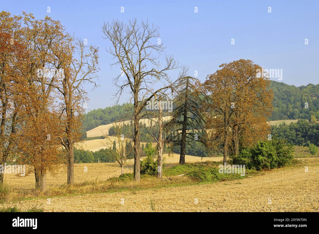 Umbria autunno, Umbria autunno 01 Foto Stock