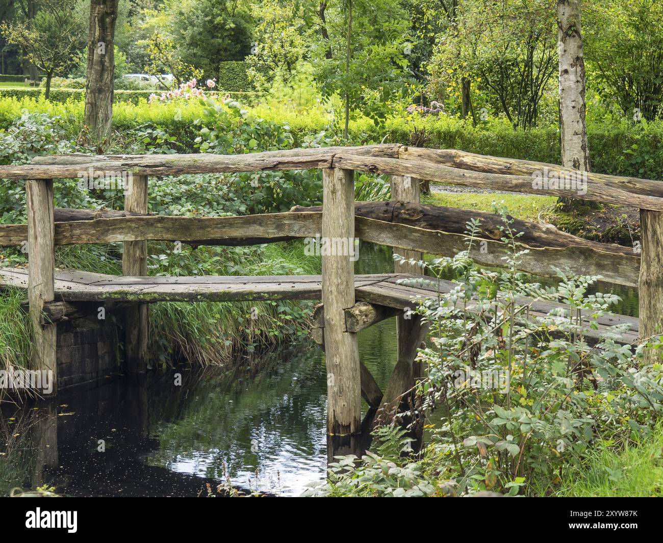Vecchio ponte di legno su un piccolo ruscello, circondato da una fitta natura verde, Bad Zwischenahn, ammerland, germania Foto Stock Vecchio ponte di legno su un piccolo ruscello, circondato da una fitta natura verde, Bad Zwischenahn, ammerland, germania Foto Stock