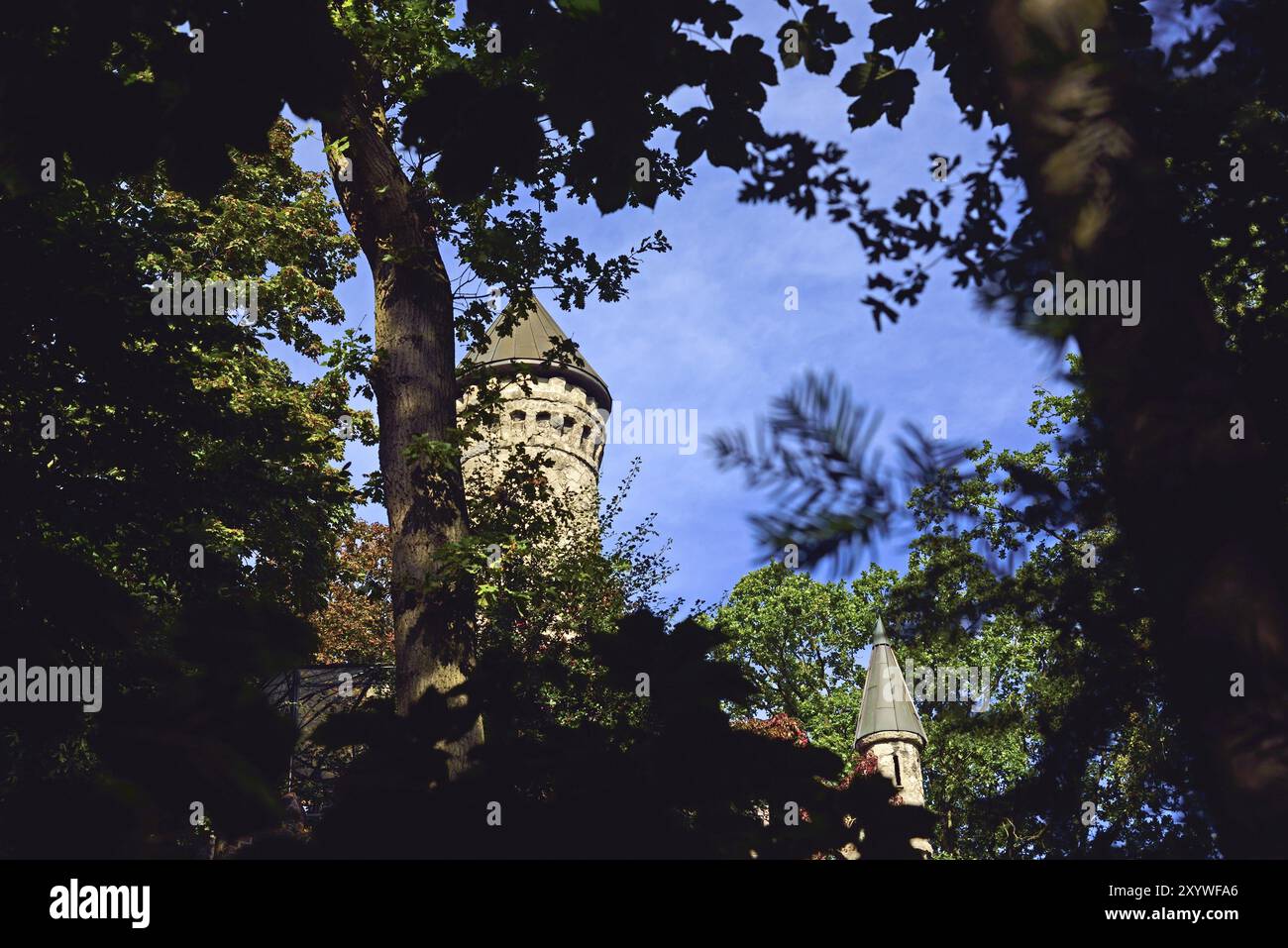 Europa, Germania, Amburgo, Poppenbuettel, Burg Henneberg, Alsterschloesschen, costruita nel 1887, Alsterlauf, Amburgo, Amburgo, Repubblica federale di Germania, Foto Stock