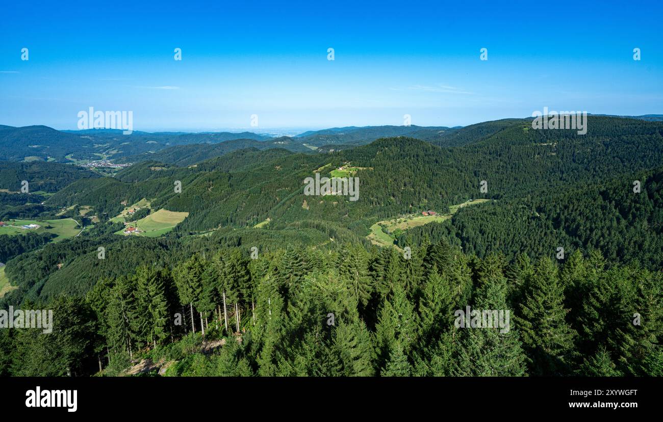 Vista dalla torre Buchkopf in Oppenau-Maisach Foresta Nera Germania. Baden Wuerttemberg, Germania, Europa Foto Stock