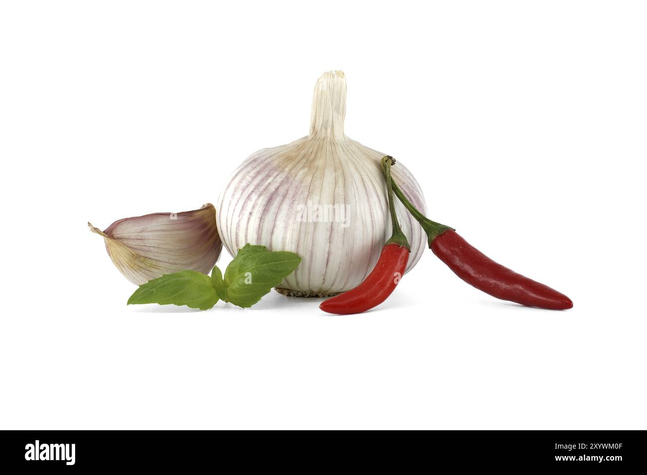 Bulbo d'aglio intero con due spicchi d'aglio nelle vicinanze di due peperoncini rossi, accompagnati da un rametto di foglie di basilico isolate su sfondo bianco Foto Stock