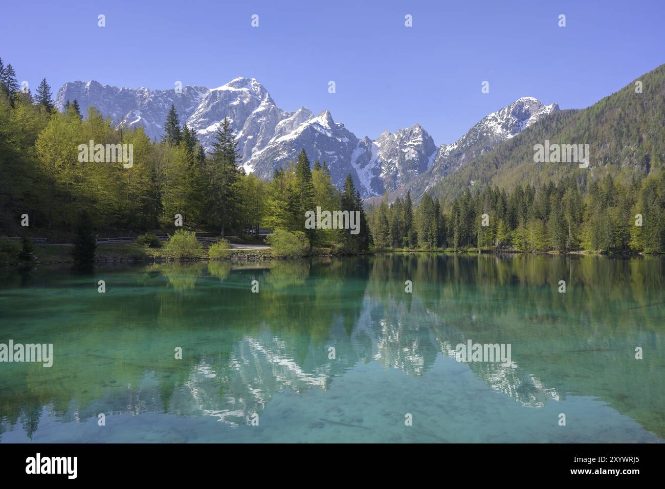 La catena montuosa del Mangart si riflette nel basso Lago delle Fusine, Tarvisio, provincia di Udine, Italia, Europa Foto Stock