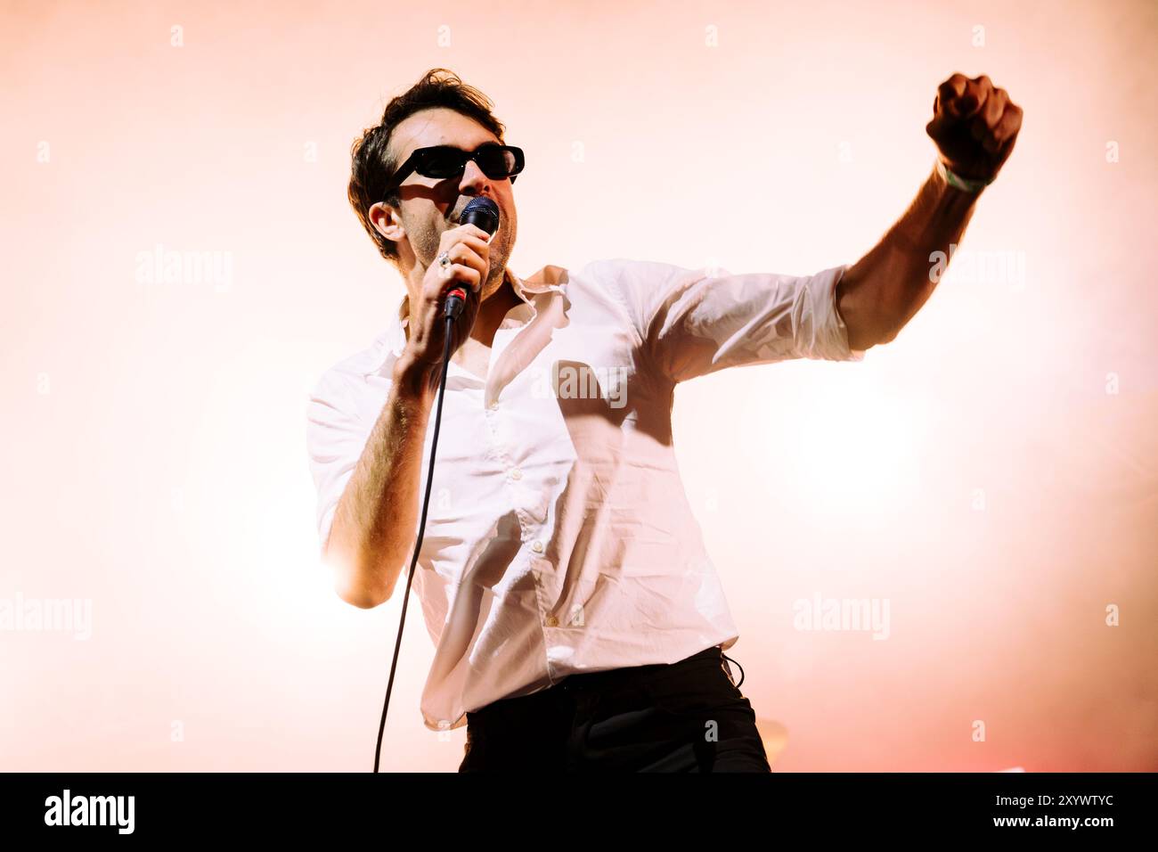 Beal, Regno Unito. 30 agosto 2024. I vaccini si esibiscono al Lindisfarne Festival, che si tiene annualmente alla Beal Farm sulla costa di Northumberland. Crediti fotografici: Thomas Jackson/Alamy Live News Foto Stock