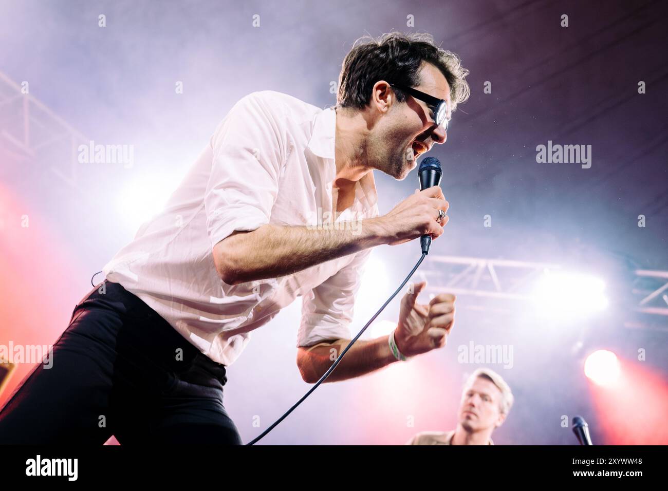 Beal, Regno Unito. 30 agosto 2024. I vaccini si esibiscono al Lindisfarne Festival, che si tiene annualmente alla Beal Farm sulla costa di Northumberland. Crediti fotografici: Thomas Jackson/Alamy Live News Foto Stock
