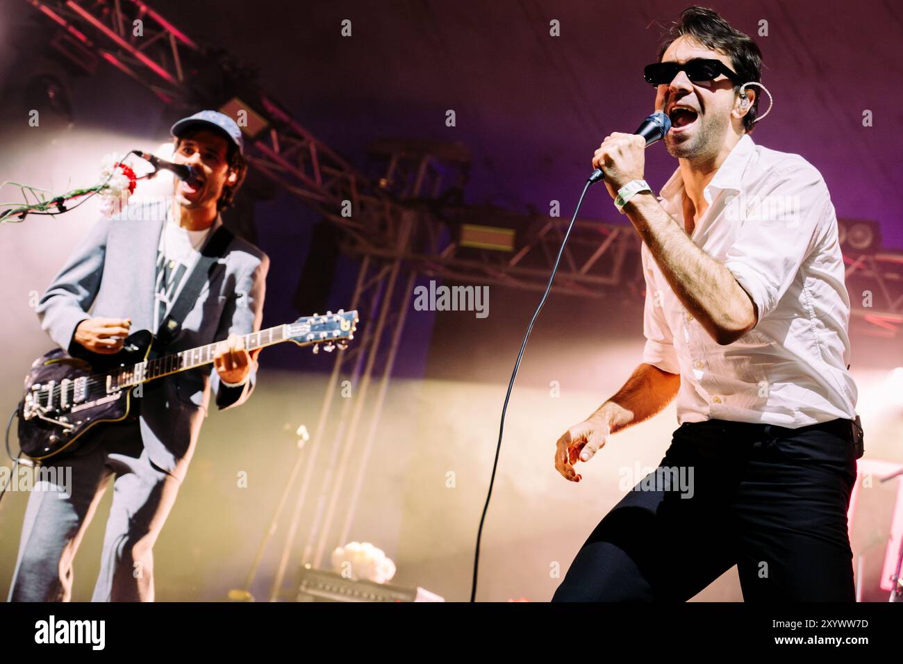 Beal, Regno Unito. 30 agosto 2024. I vaccini si esibiscono al Lindisfarne Festival, che si tiene annualmente alla Beal Farm sulla costa di Northumberland. Crediti fotografici: Thomas Jackson/Alamy Live News Foto Stock