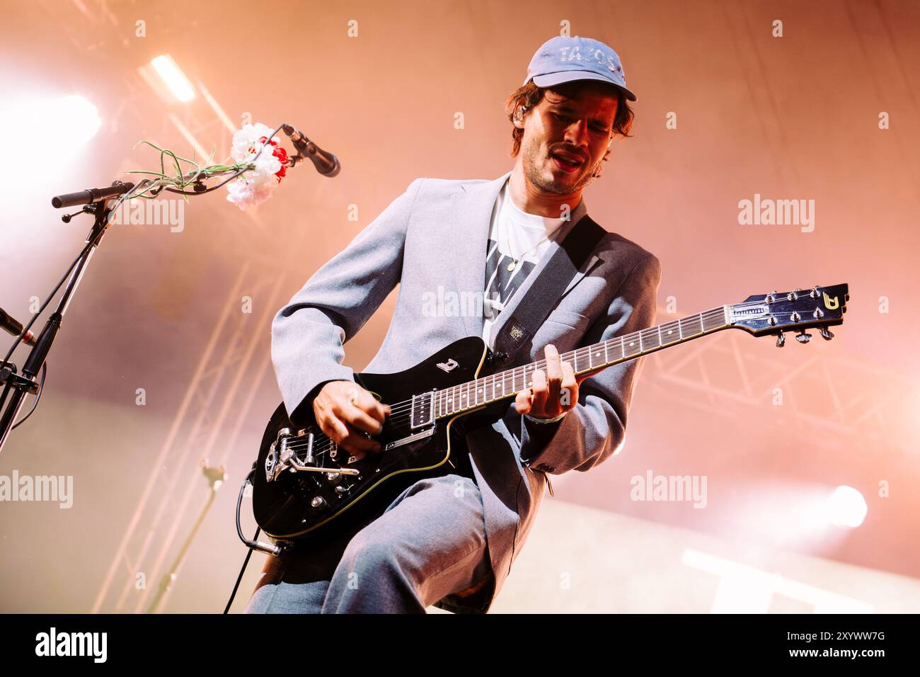 Beal, Regno Unito. 30 agosto 2024. I vaccini si esibiscono al Lindisfarne Festival, che si tiene annualmente alla Beal Farm sulla costa di Northumberland. Crediti fotografici: Thomas Jackson/Alamy Live News Foto Stock