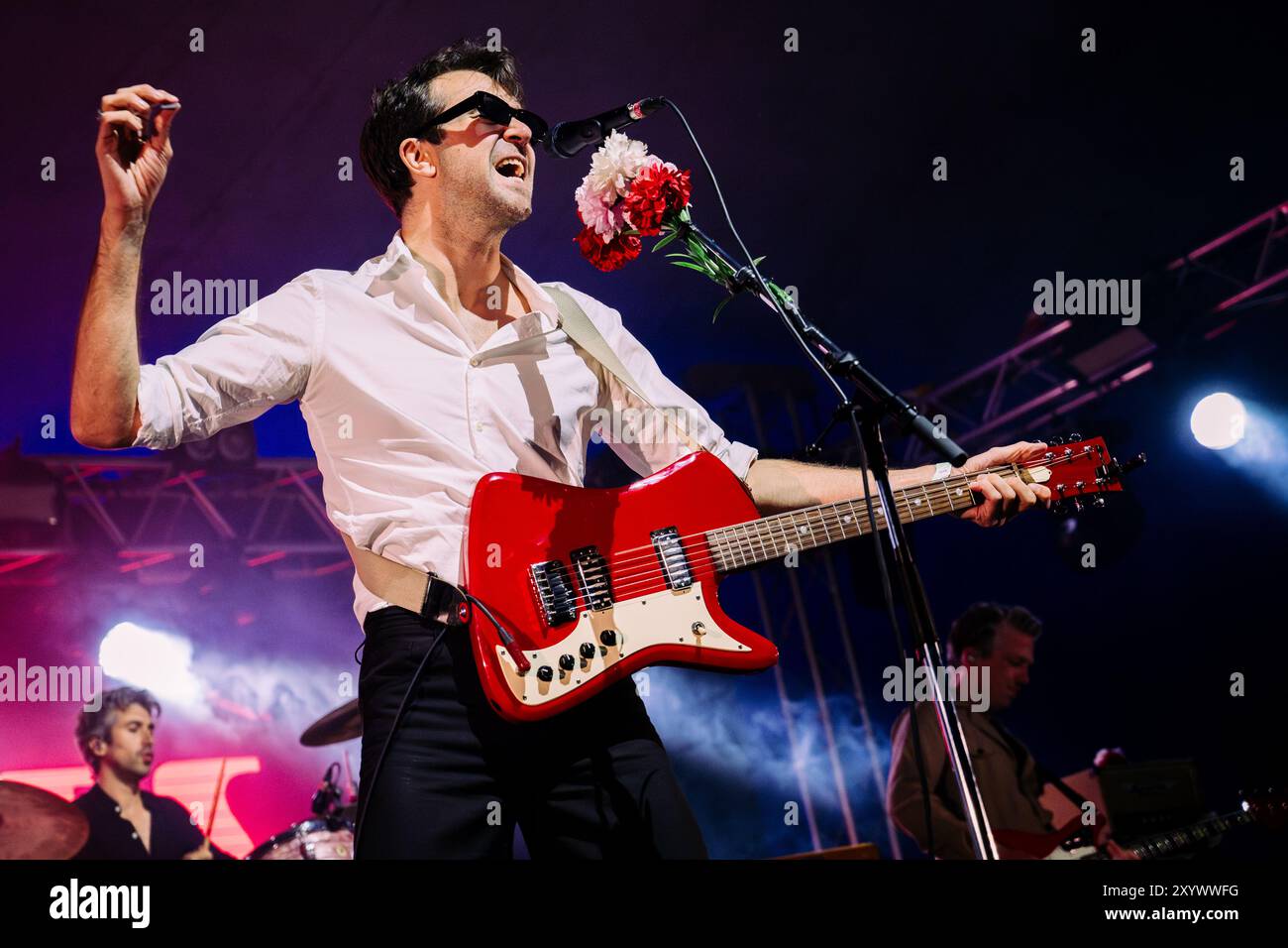Beal, Regno Unito. 30 agosto 2024. I vaccini si esibiscono al Lindisfarne Festival, che si tiene annualmente alla Beal Farm sulla costa di Northumberland. Crediti fotografici: Thomas Jackson/Alamy Live News Foto Stock