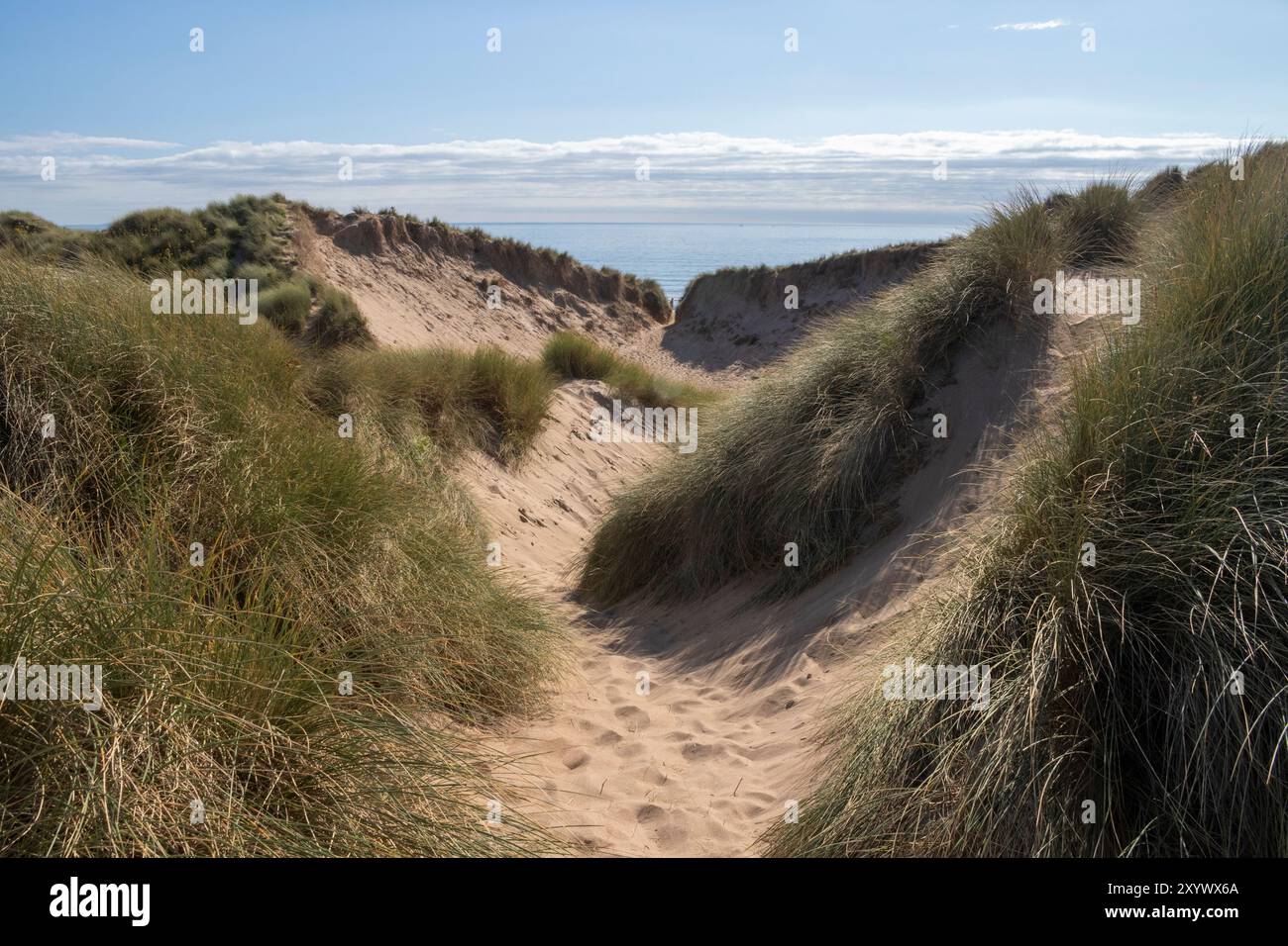 Sentiero attraverso le dune di sabbia che conduce a Traeth Llydan Beach, Rhosneigr, Anglesey, Galles, Regno Unito Foto Stock