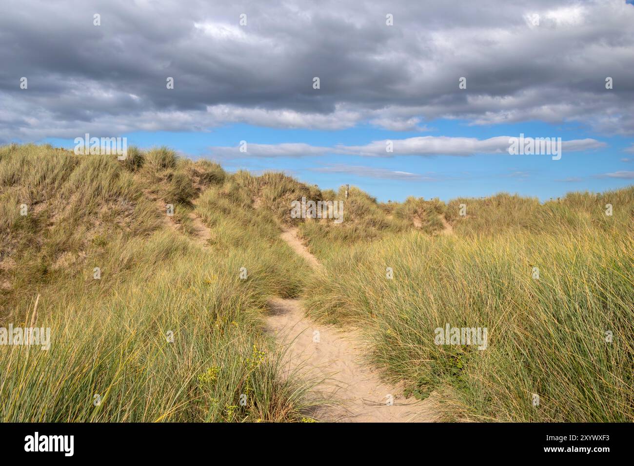 Sentiero attraverso le dune di sabbia che conduce lontano da Traeth Llydan Beach, Rhosneigr, Anglesey, Galles, Regno Unito Foto Stock