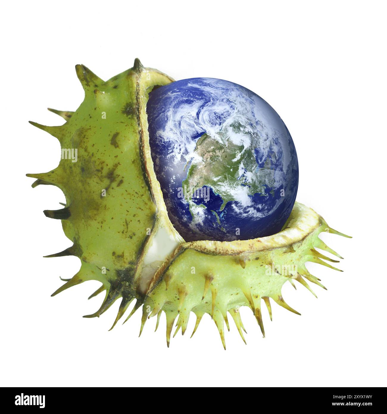 Globo protetto in un guscio di castagno rotto, simbolo di conservazione ambientale, strato di ozono, gas serra, collage, isolato Foto Stock