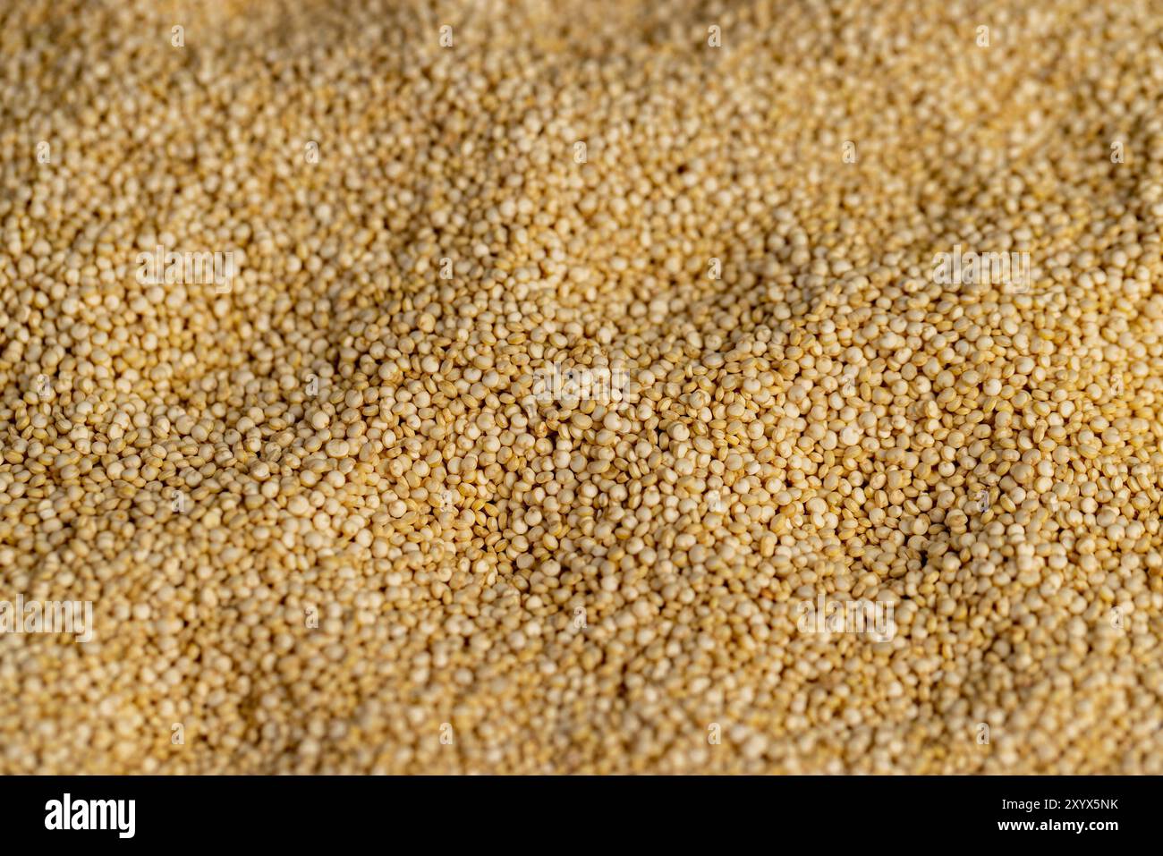 Chicchi di quinoa crudi primo piano, non cotti sani chicchi di porridge di quinoa Foto Stock