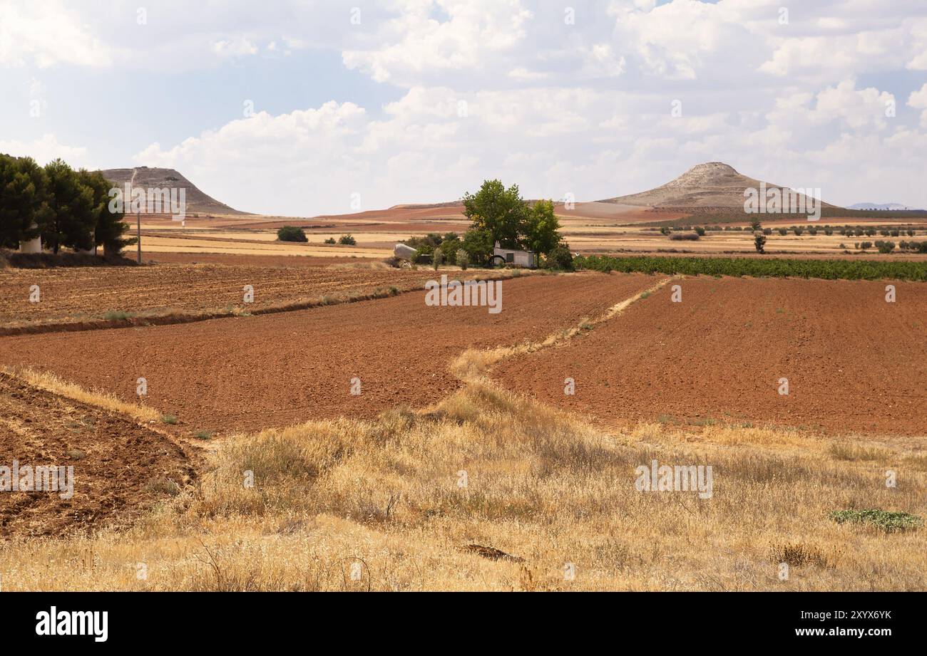 Lo spagnolo del paesaggio rurale con campi arati e montagna all'orizzonte Foto Stock