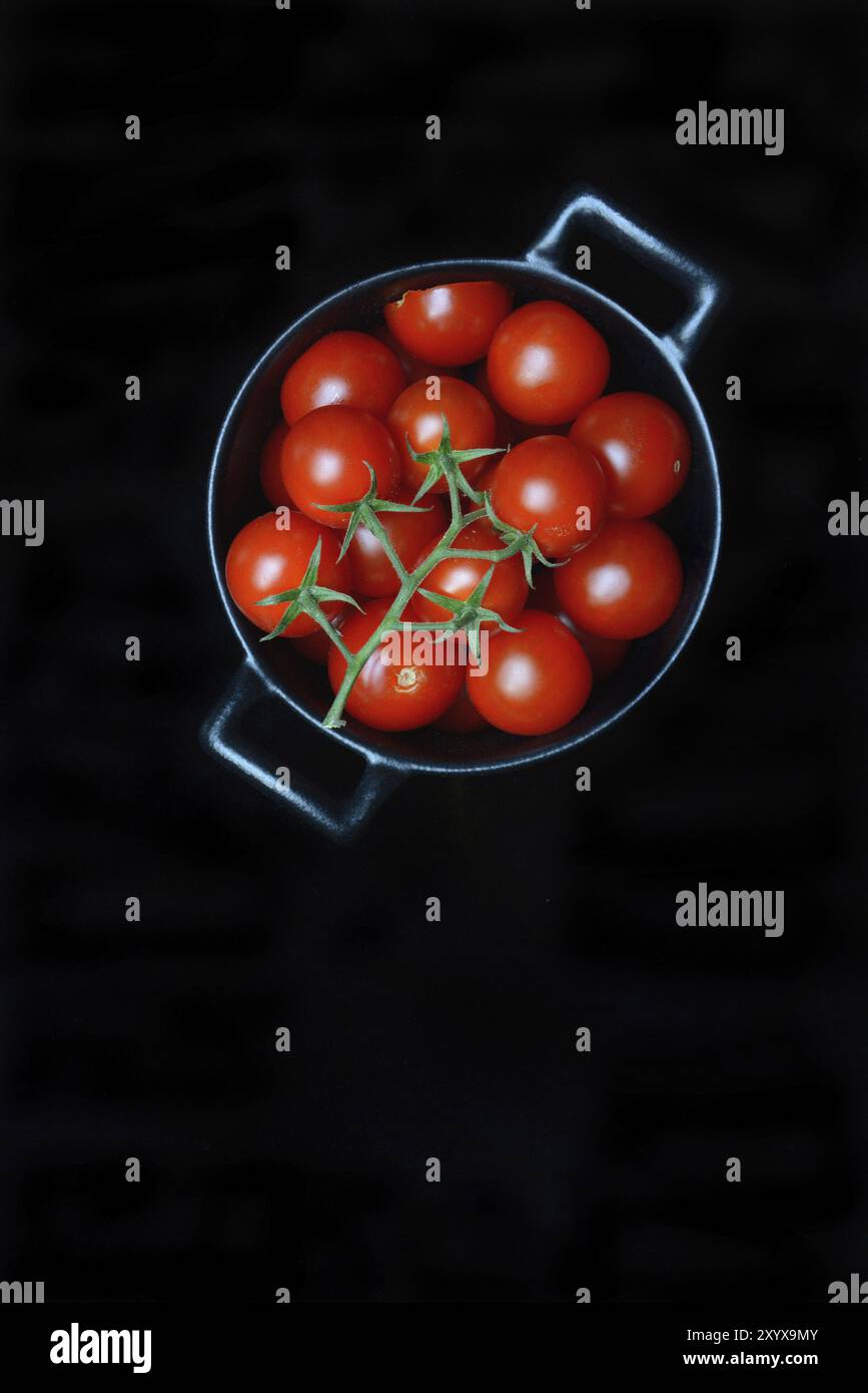 Pomodori ciliegini in pentole, pomodoro ciliegino, Solanum lycopersicum Foto Stock