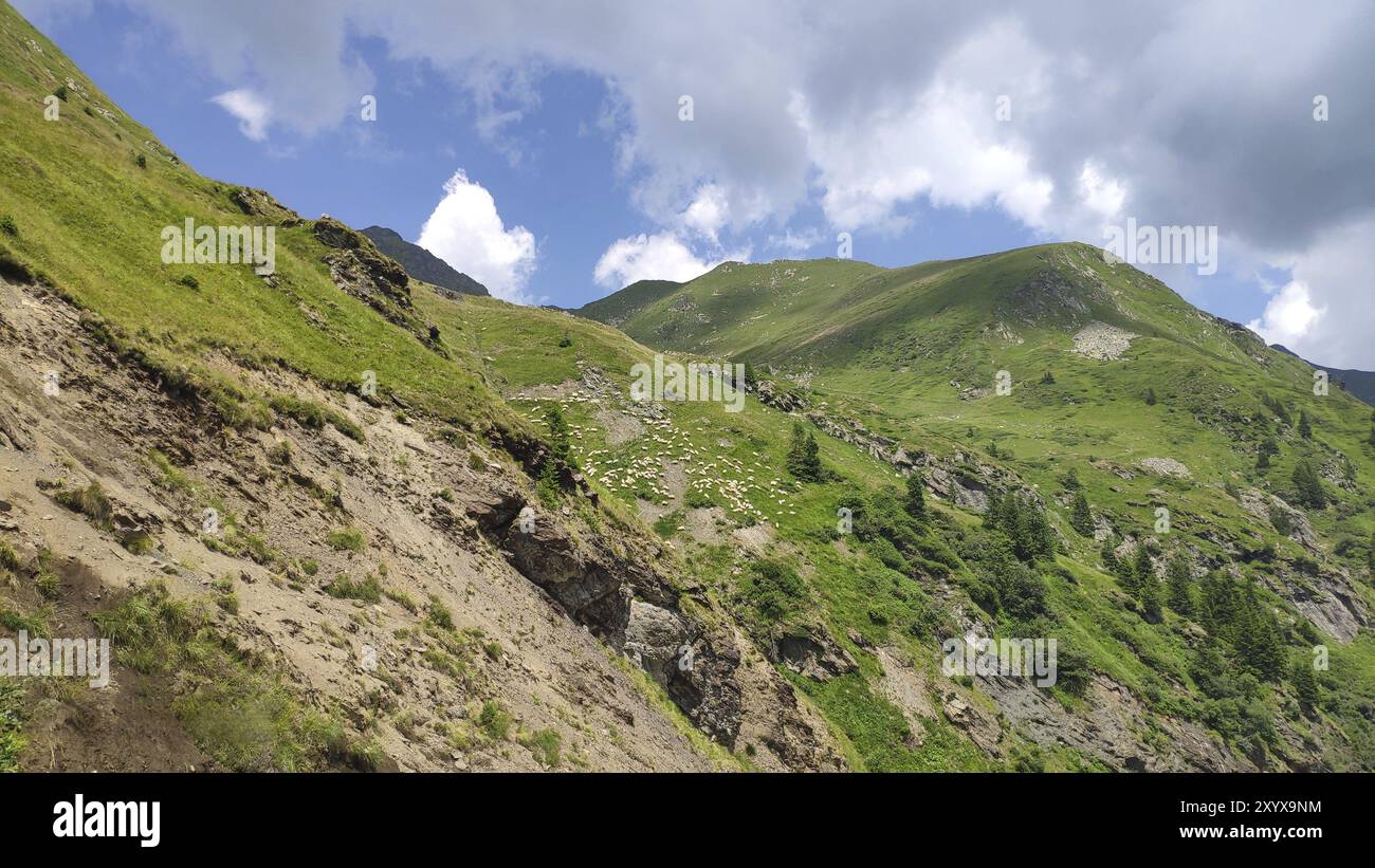 Monti Fagaras, Carpazi meridionali, Romania, Europa Foto Stock