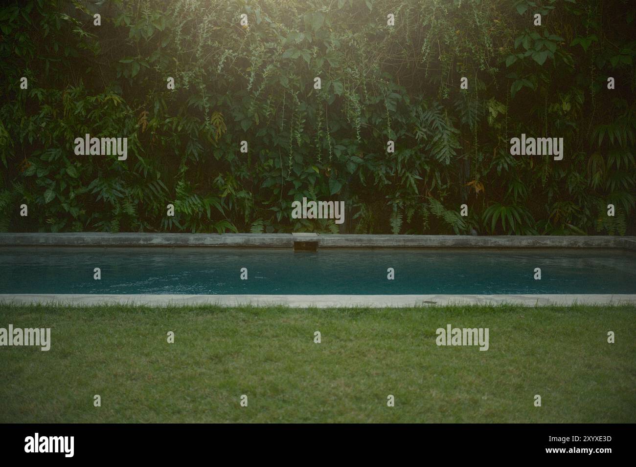 Piscina, area erbosa e giardino verticale nel design esterno di una lussuosa villa tropicale Foto Stock