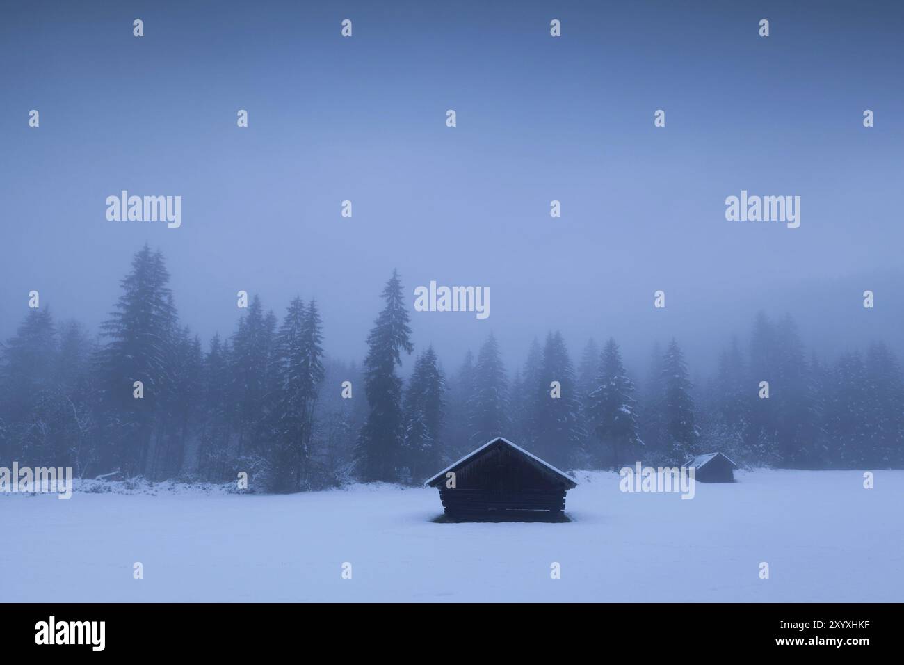 Misty mattina invernale sulla campagna alpina, Baviera, Germania, Europa Foto Stock