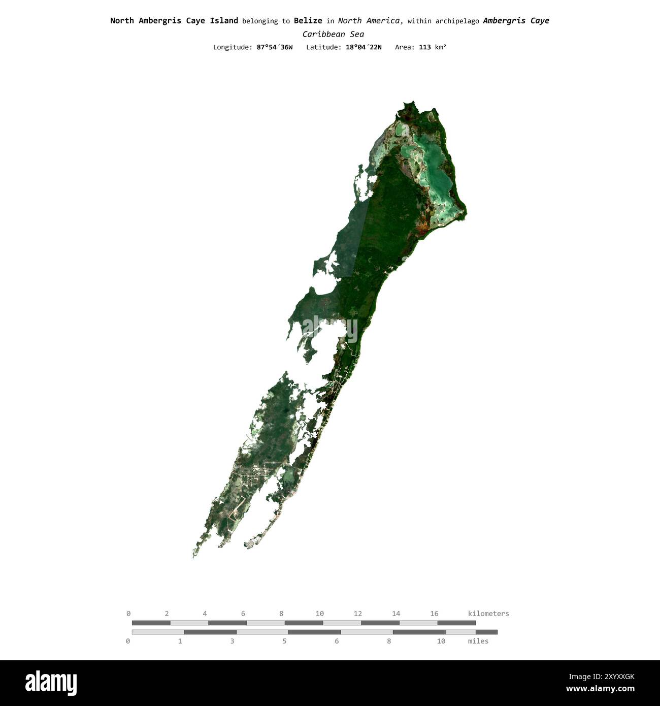 North Ambergris Caye Island nel Mar dei Caraibi, appartenente al Belize, isolato su un'immagine satellitare scattata il 20 febbraio 2024, con scala di distanza Foto Stock