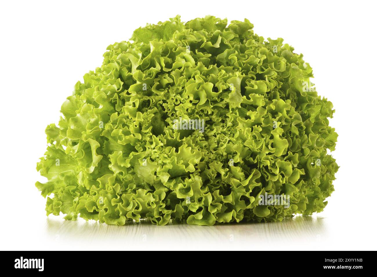 Verde foglie di lattuga isolati su sfondo bianco Foto Stock